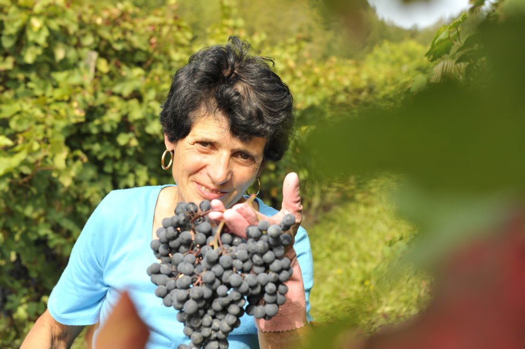 Poderi Cellario 21.jpg