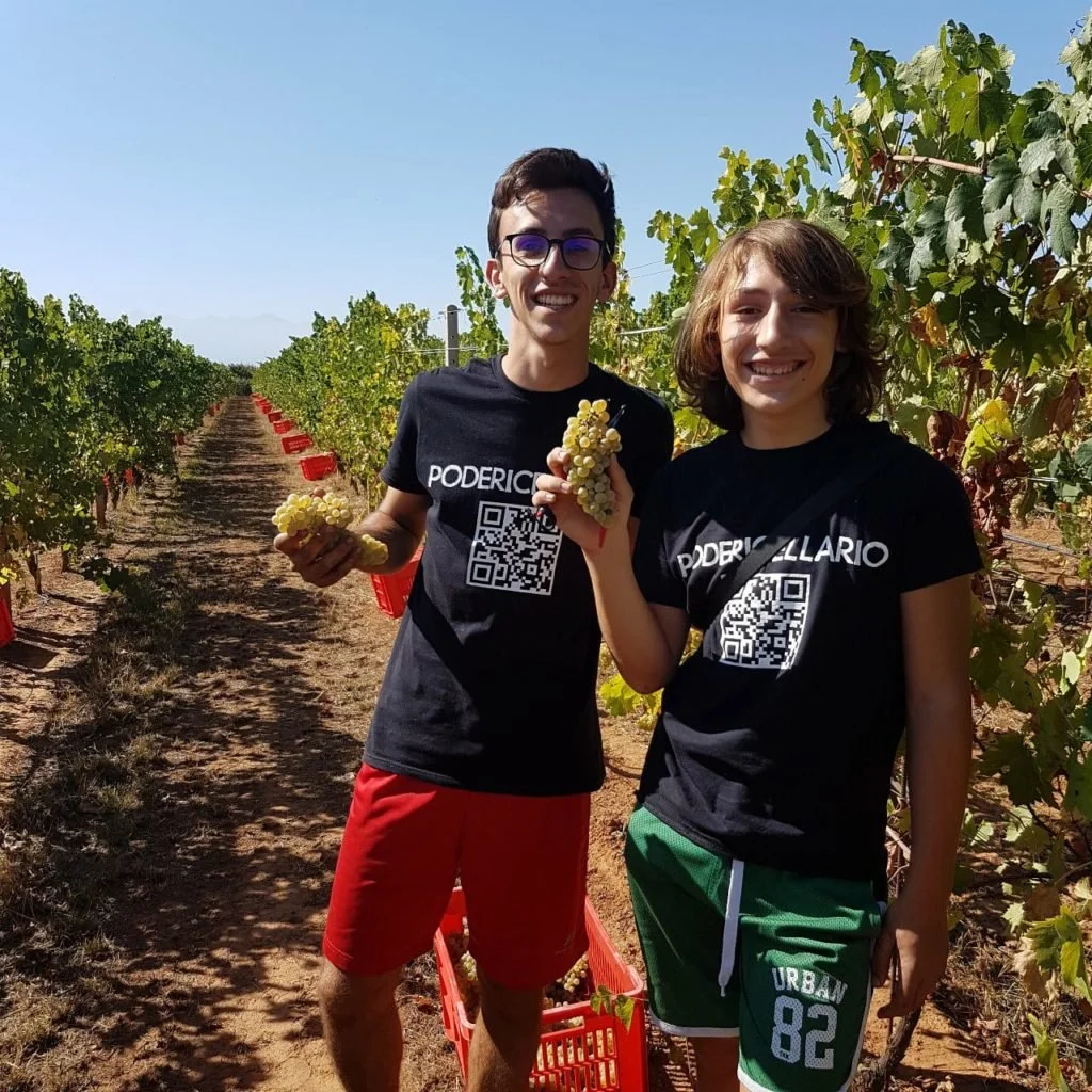 Poderi Cellario 16.jpeg