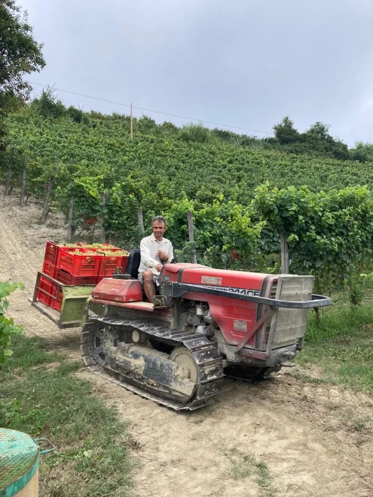 Poderi Cellario 7.jpeg