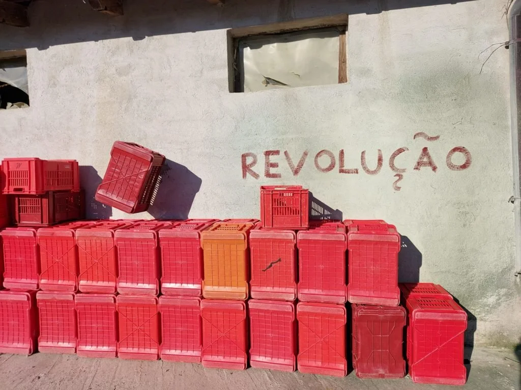 Poderi Cellario 2.jpeg