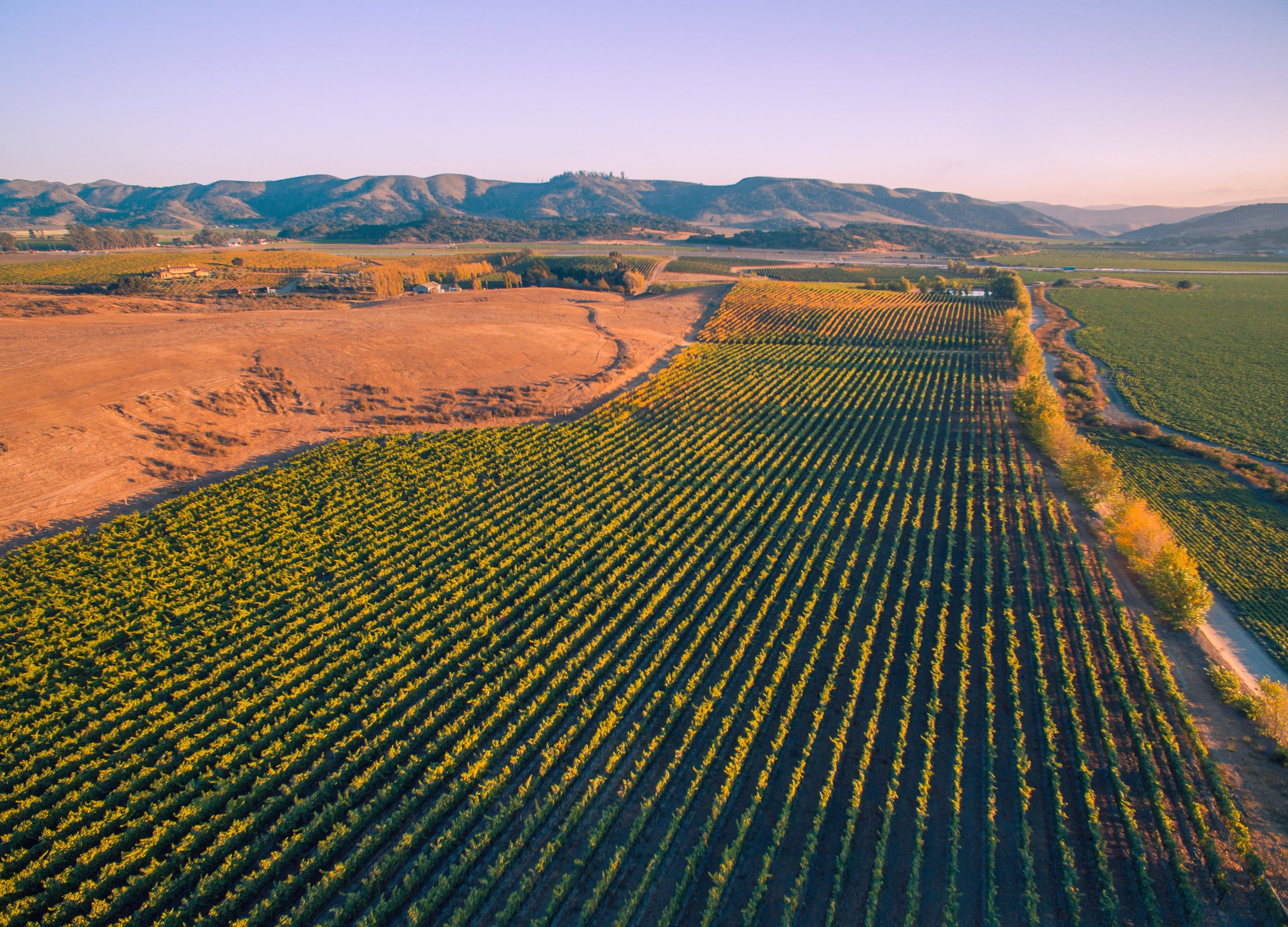 Brewer.Clifton.Winery.DJI_0035.Final.High.Res.Bottle.Branding.jpg
