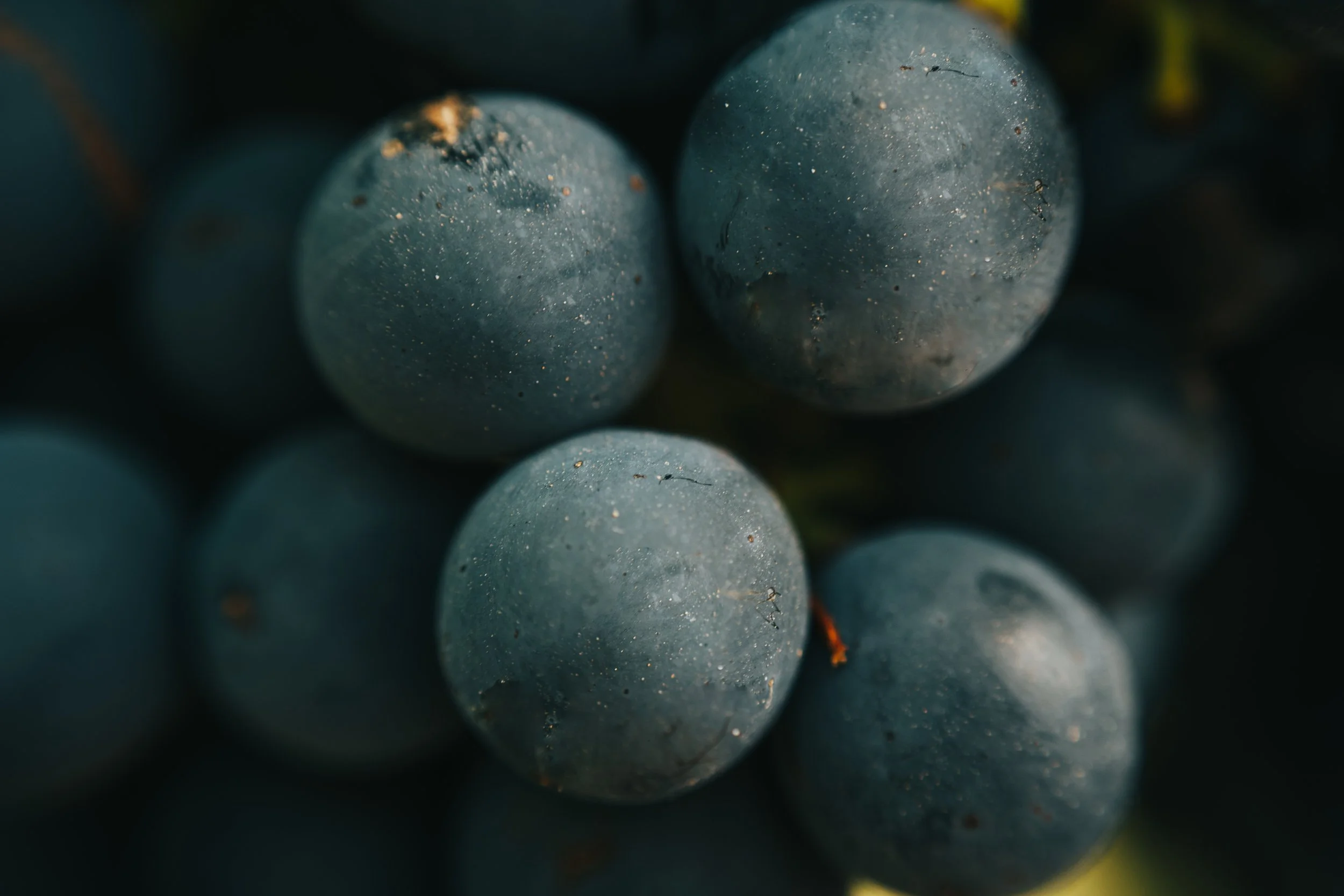 AdobeStock_491727161.jpeg