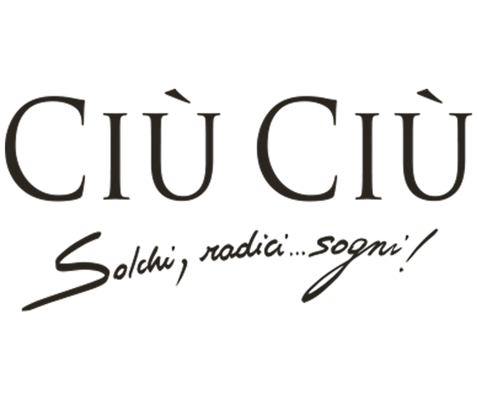 COLOUR BANNER LOGO (9).png
