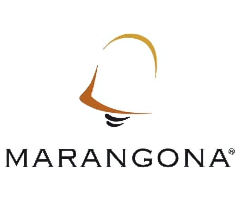 COLOUR BANNER LOGO (7).png