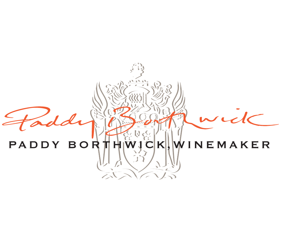 Paddy Borthwick Banner Colour.png