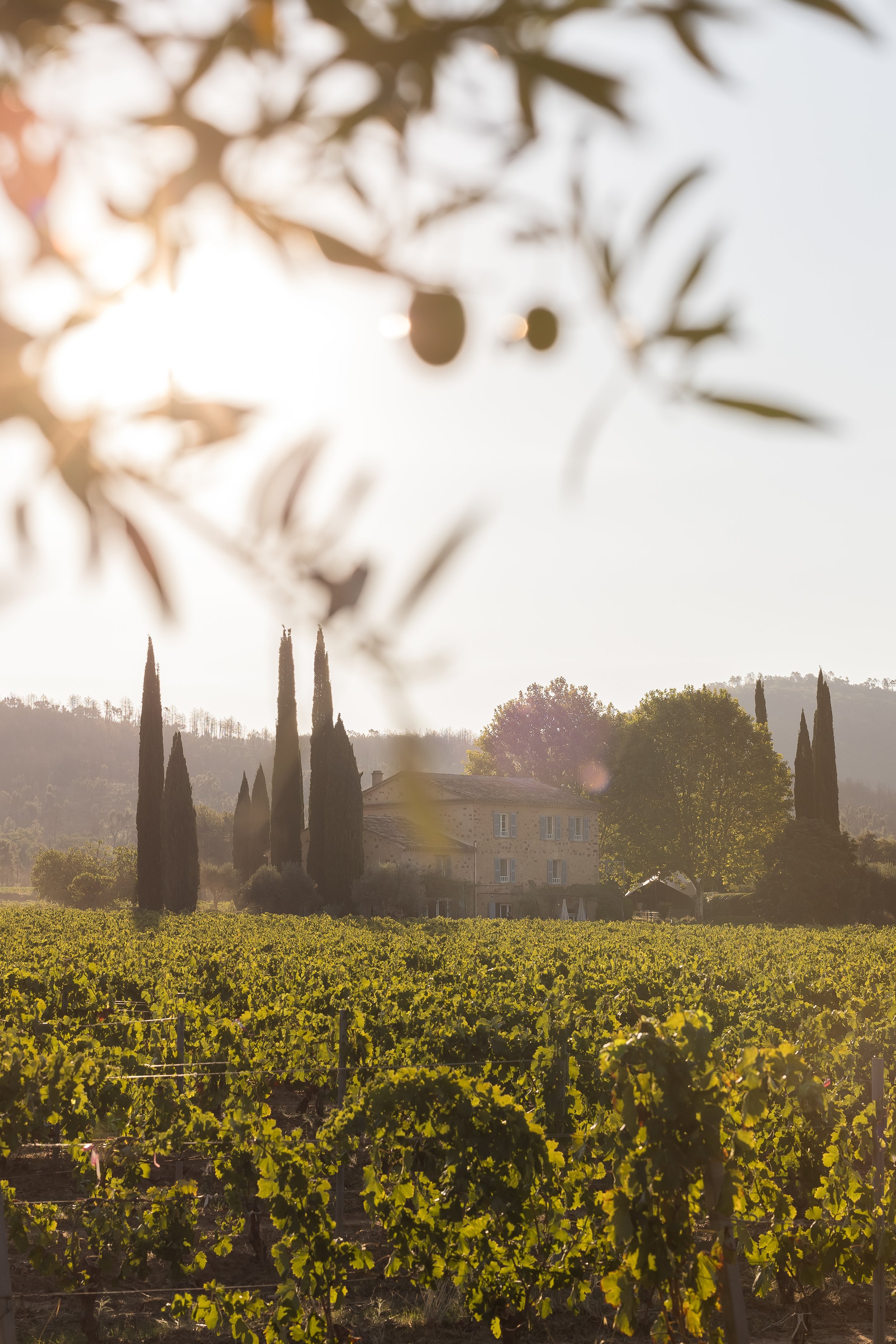 Mirabeau-Domaine (1).jpg