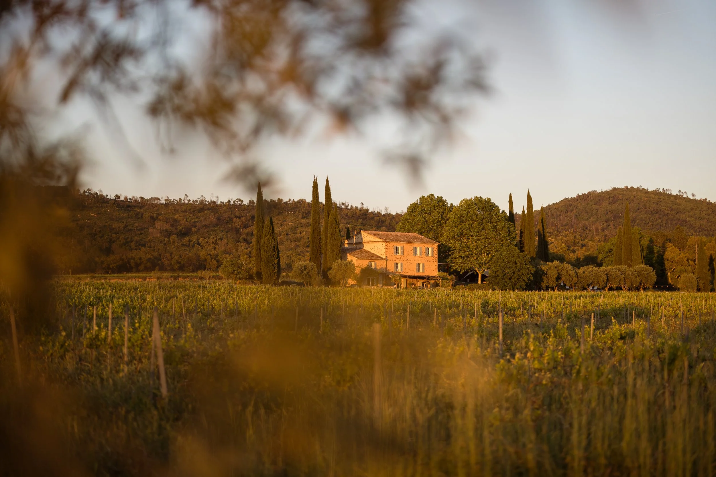 Mirabeau_Domaine (1).jpg