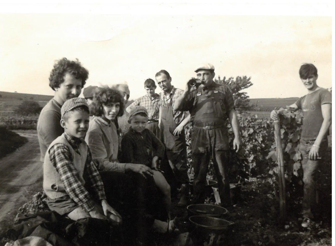 Famille Paquet Vineyard Shot.jpg