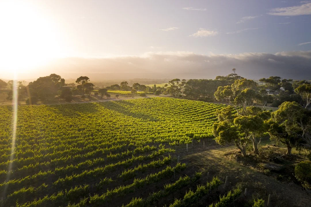 20191106-DJI_0629.jpg