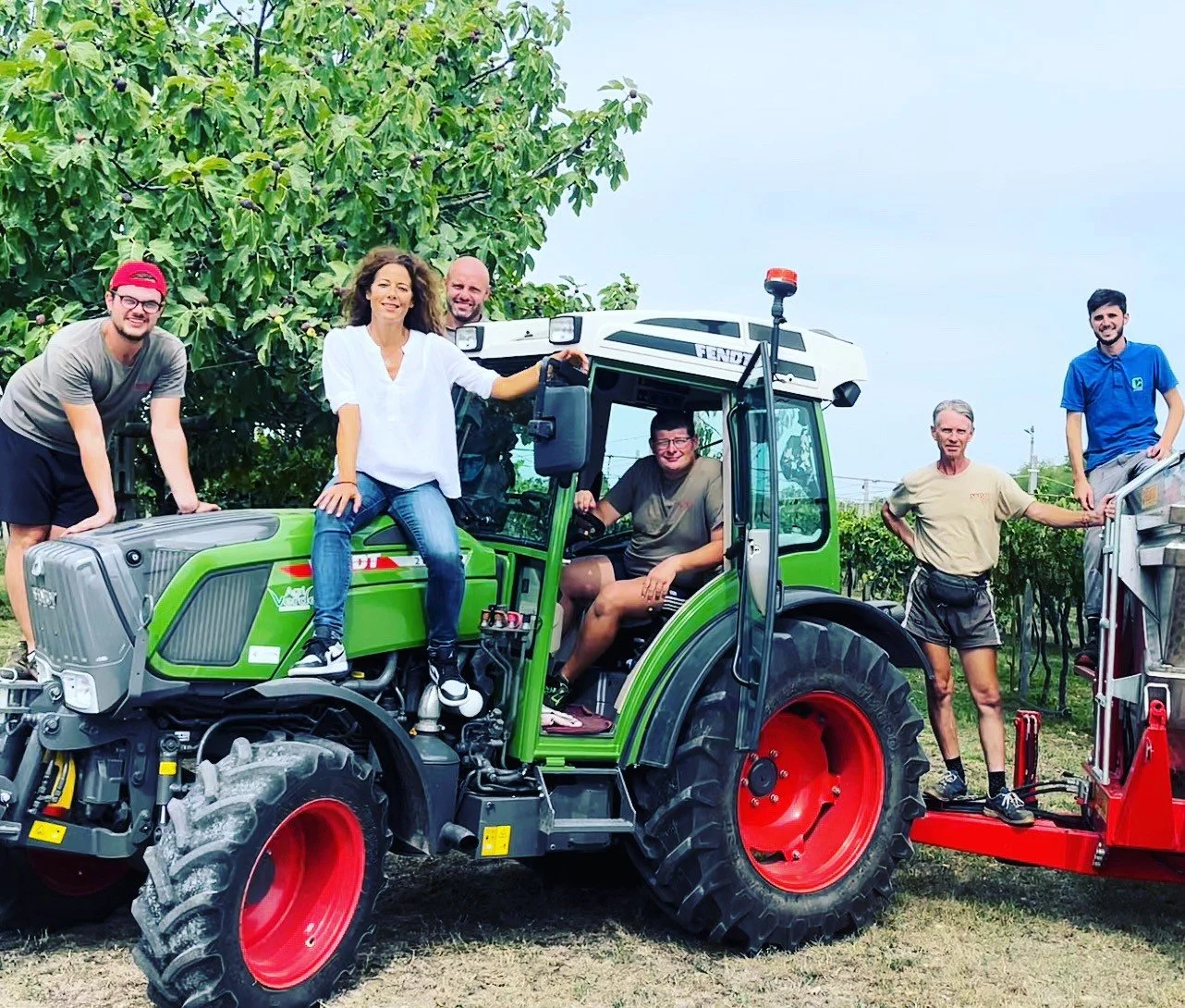 GORGO HARVEST TEAM.jpg