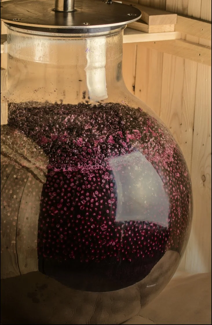 Cave - winery 3.jpg