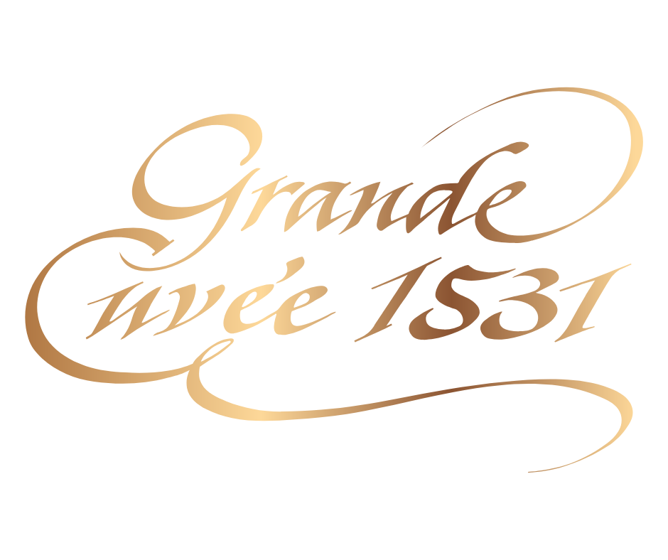 COLOUR BANNER LOGO (26).png