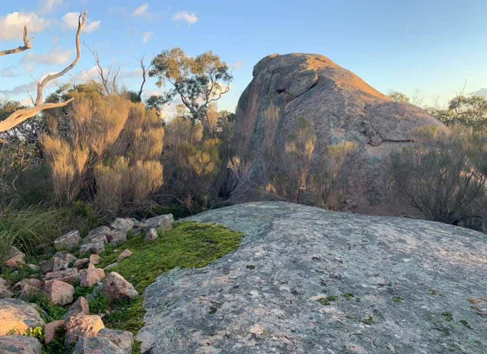 Jip_Jip_Rocks_Conservation_Park_3_94eb7831-2314-4a2b-8e79-c8070d013547_704x512_crop_center.webp