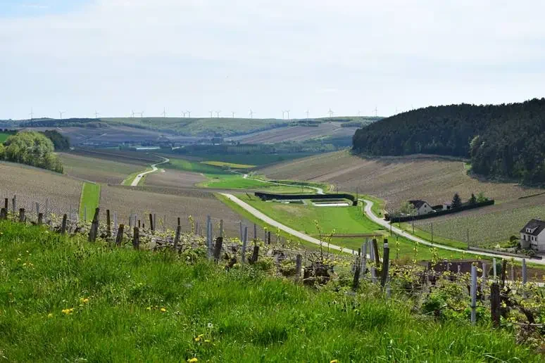 PHOTO-VRIGNAUD-2.webp