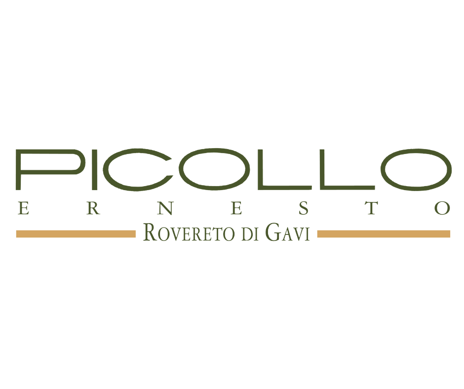 COLOUR BANNER LOGO (17).png