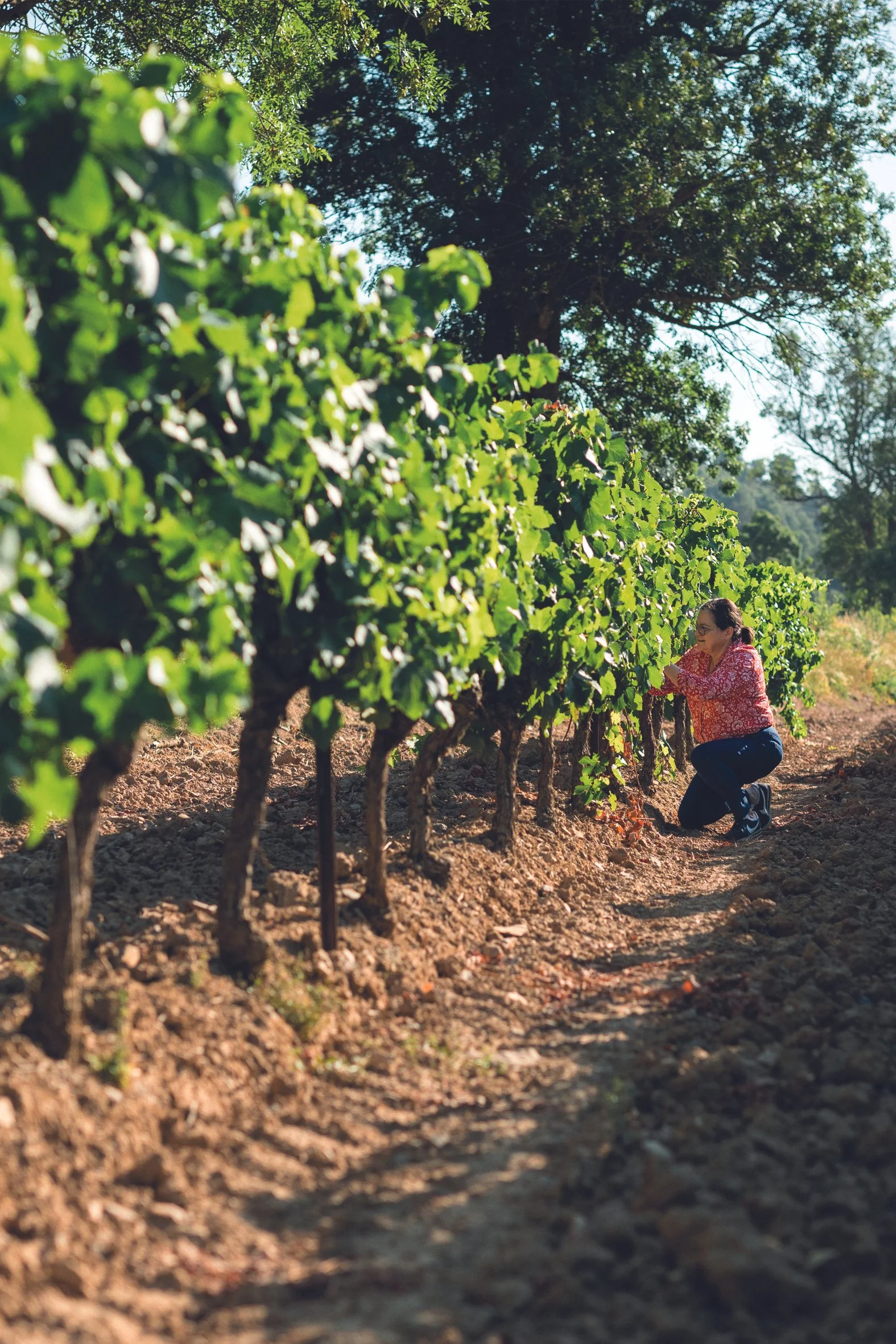 CatherineDelaunay-vignes-accroupie (1).jpg