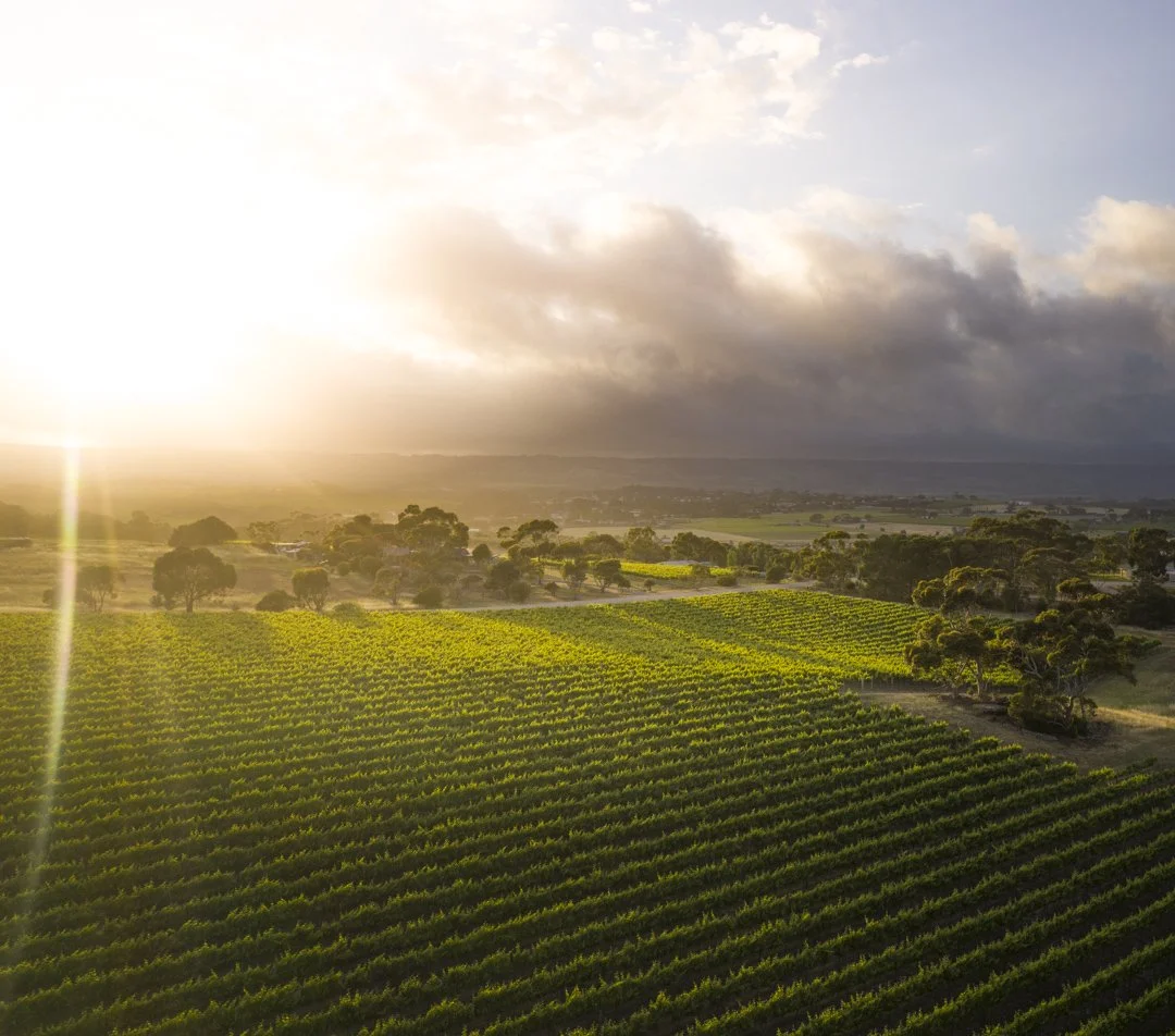 20191106-DJI_0562.jpg