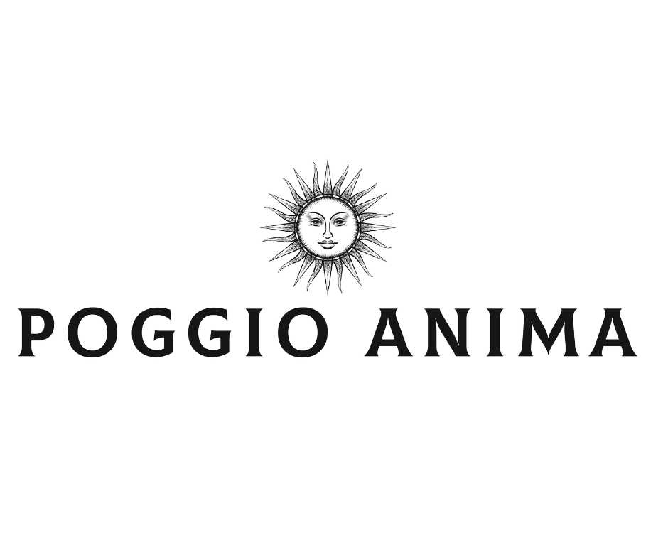 COLOUR BANNER LOGO (8).png