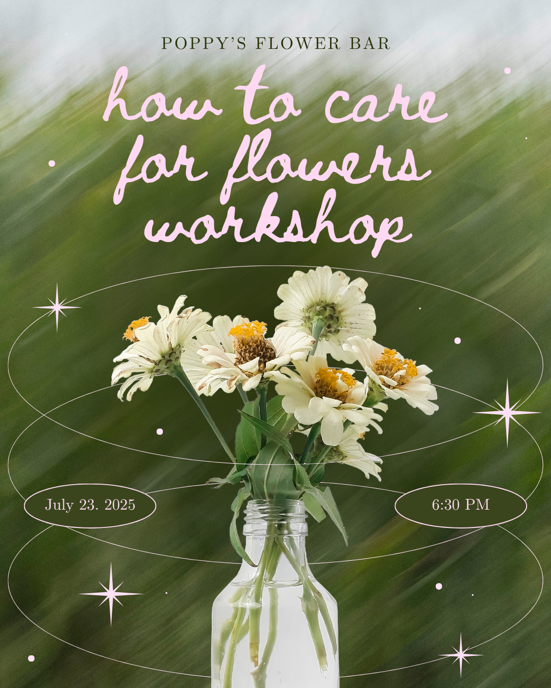 How to Care for Flowers 101