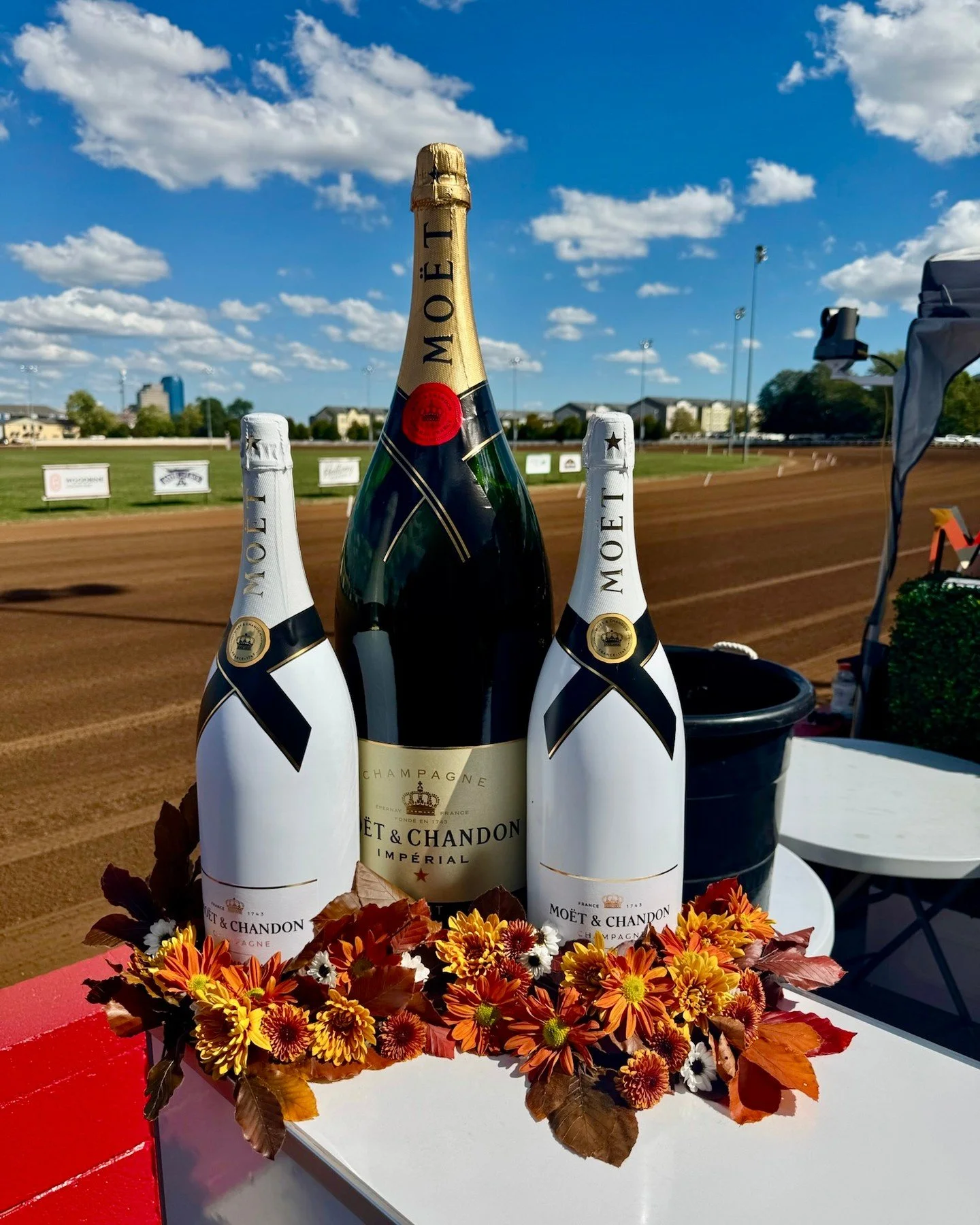 A lil somethin' to take the edge off at @redmileky 💐🥂

#poppysoflex #flowerbar #poppysflowerbar #bouquetbar #florist #floristsofinstagram #lexingtonflorist #lexingtonkyflorist #sharethelex #sharelex #cocktailbar #kentuckybars #lexingtonky #redmile 