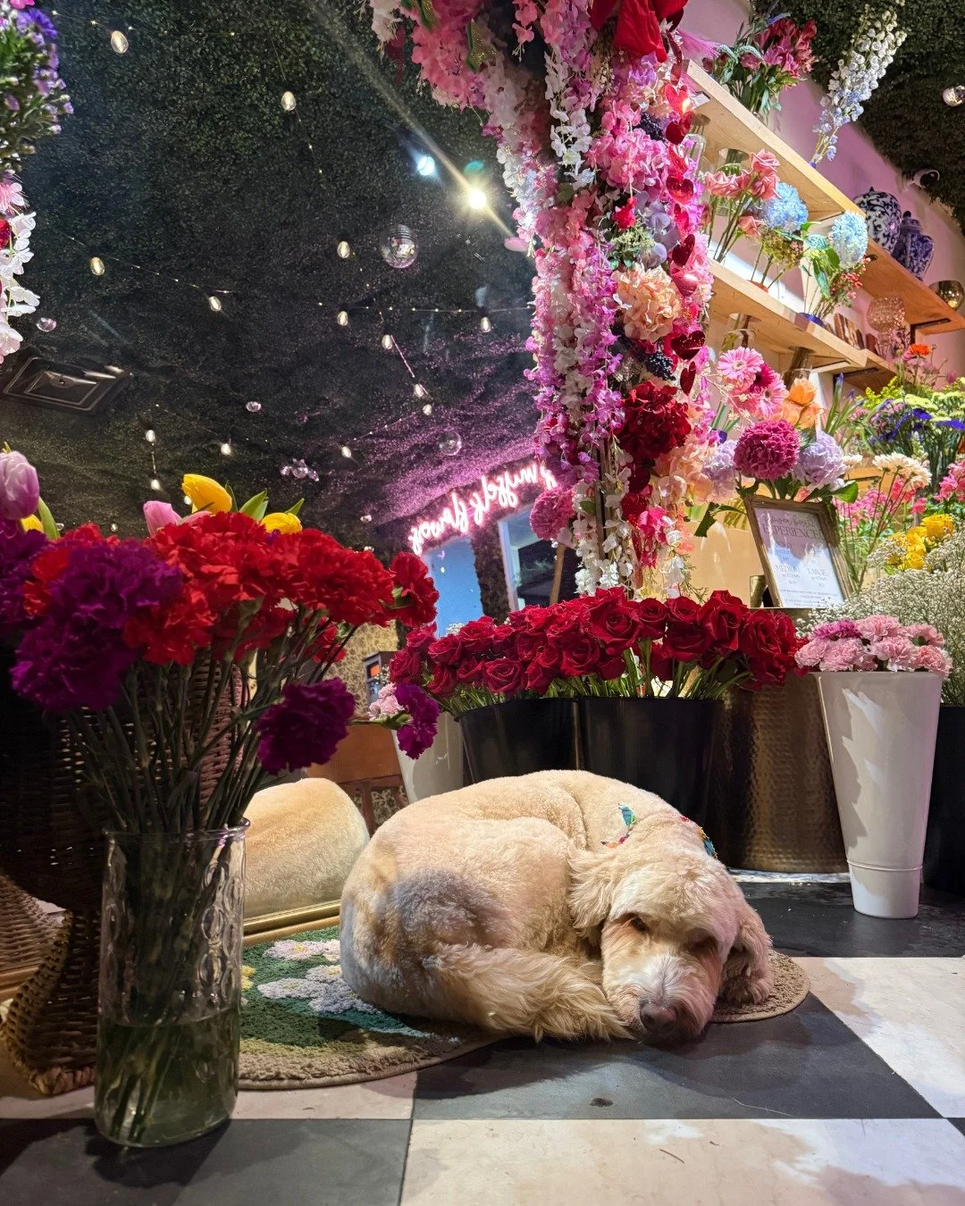 REMINDER! We are having a FLASH TAT POP UP AT POPPY&rsquo;S 🌸✨ April 4th 👀💐 (did the puppy make you look? 👀 )

Shelby Inks @shelby.inks will be at Poppy&rsquo;s creating a build your own bouquet flash sheet plus a few other floral inspired tattoo