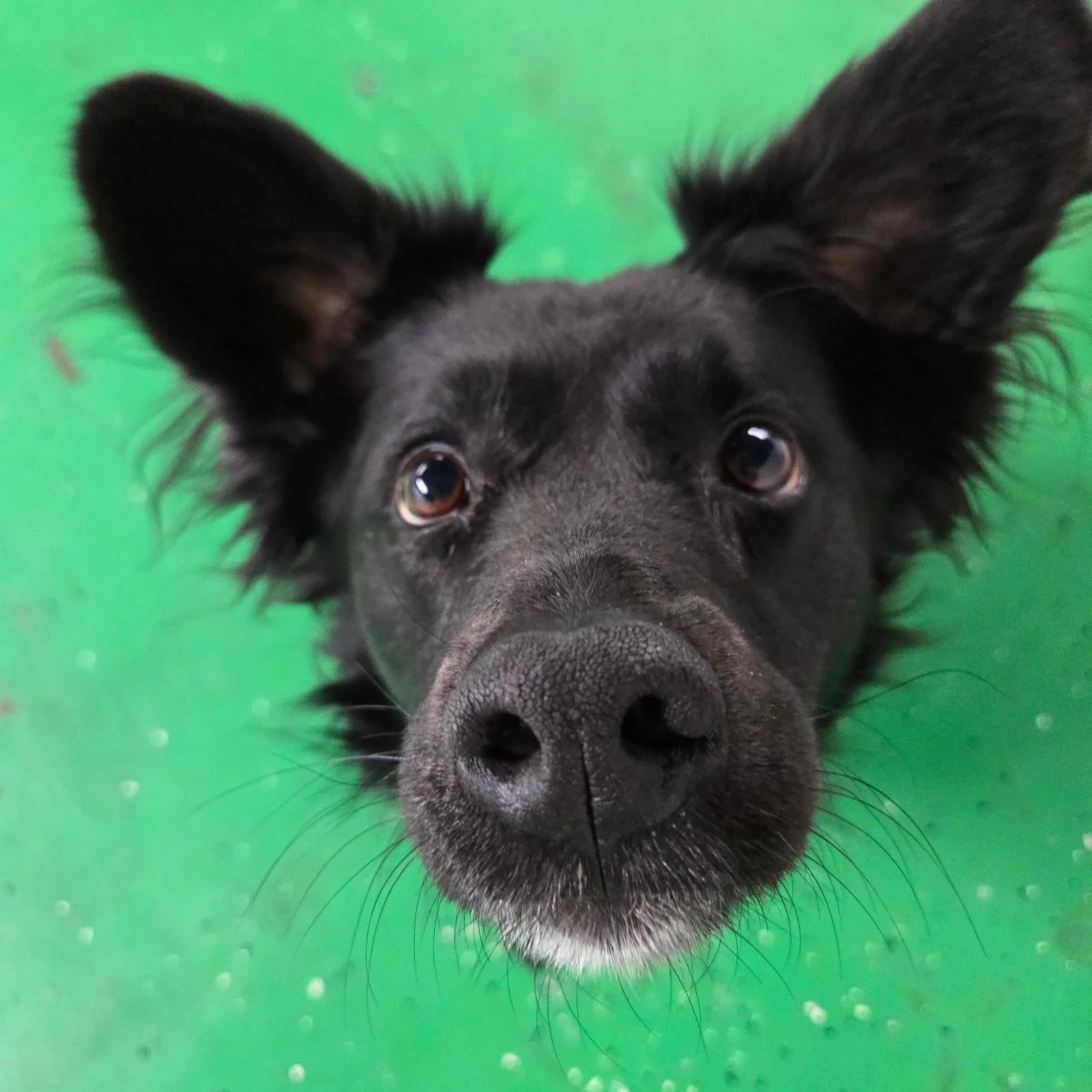 Our Tucson, AZ location is open!