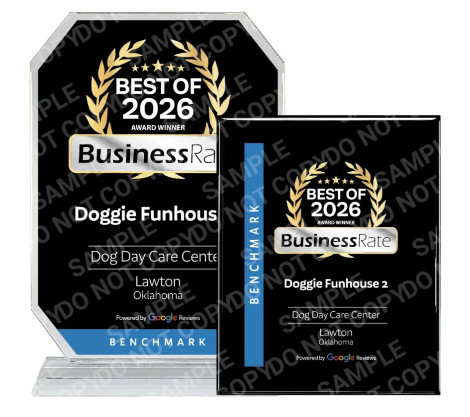 Doggie Funhouse 2 Ranked #1 in Google Reviews! 