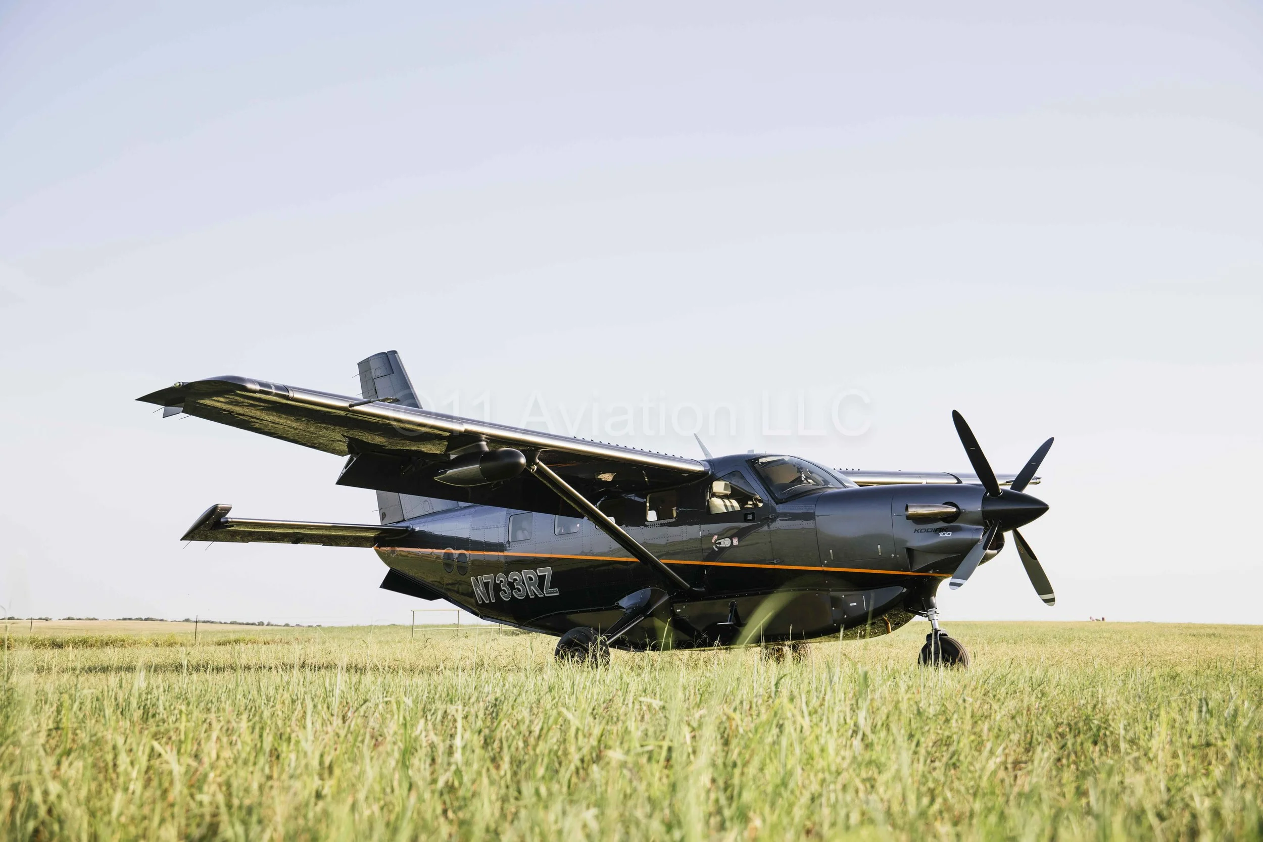 Kodiak 100 Series III