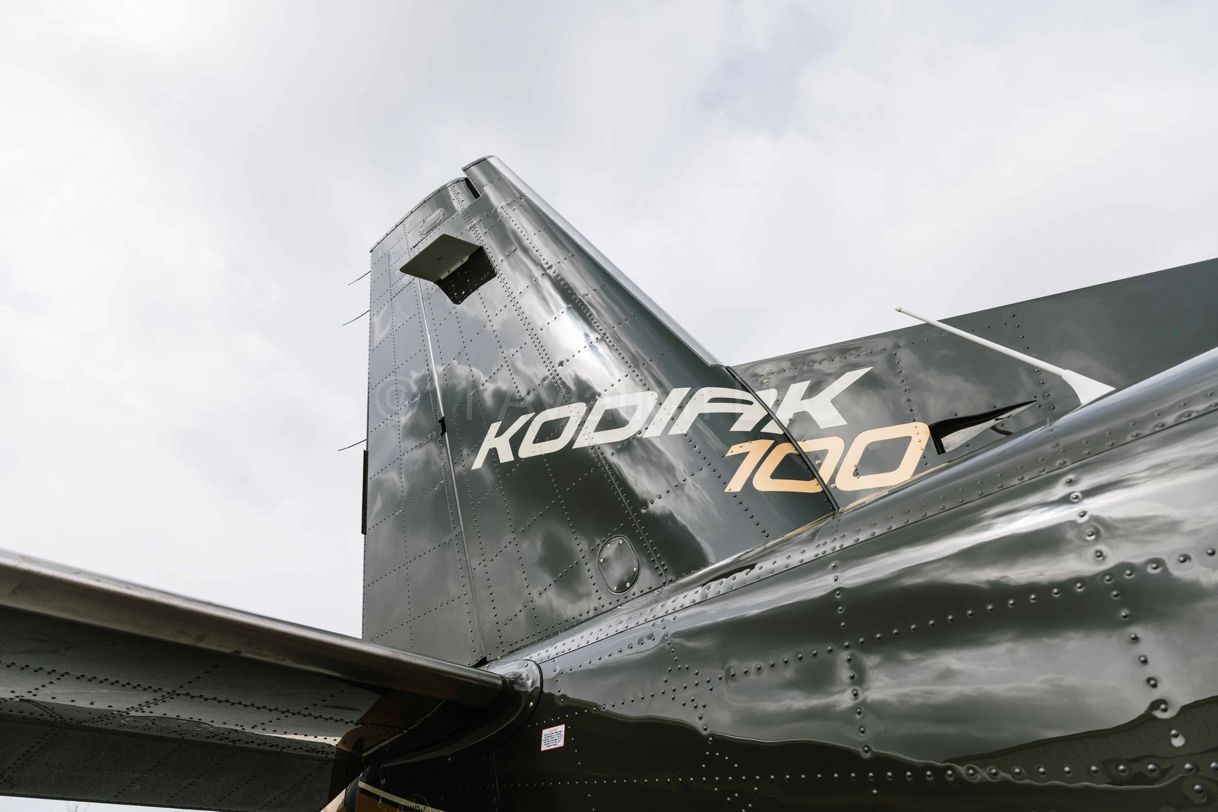 12 Changes You Need to Know About the 2025 Kodiak 100+900