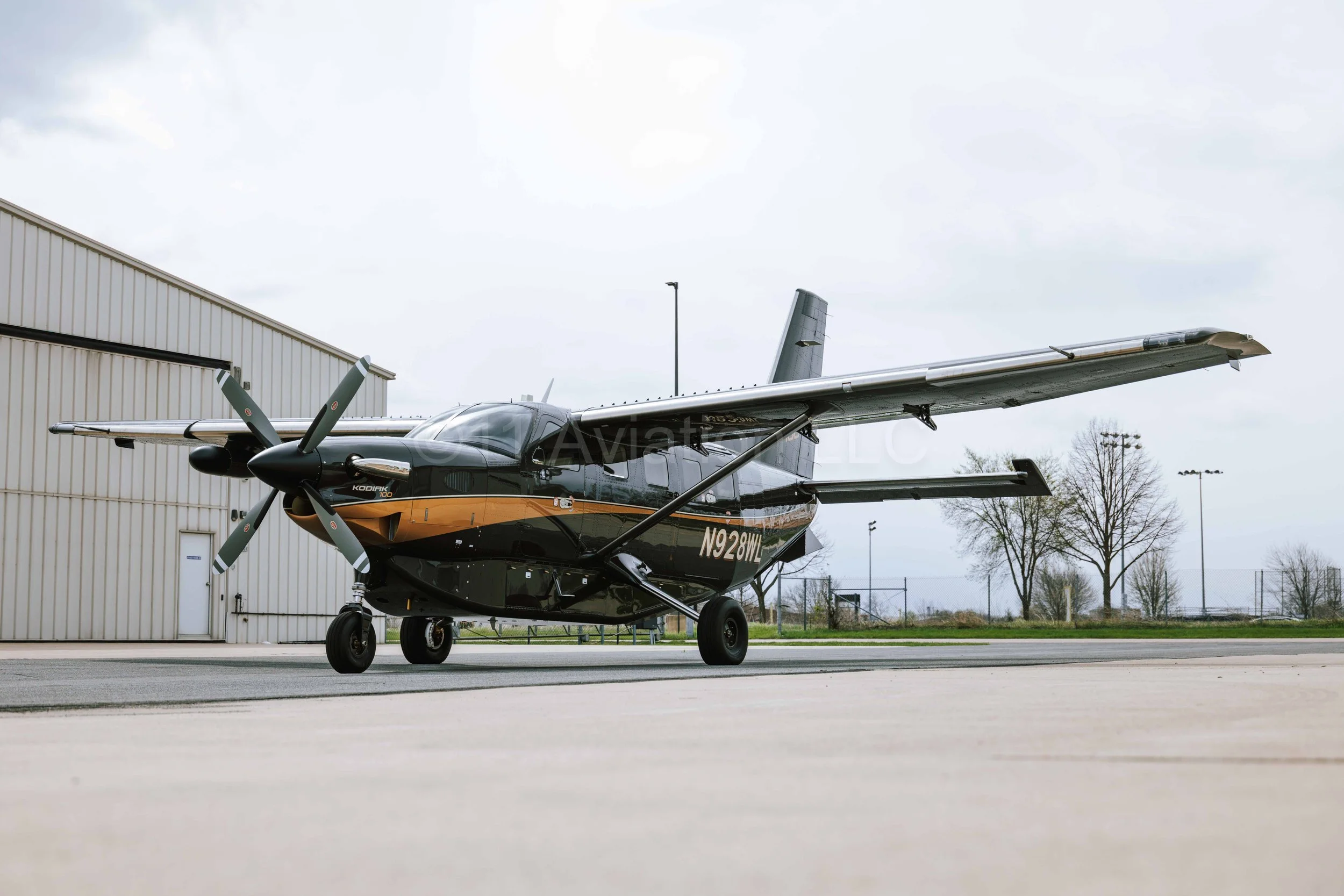 A 2025 Daher Kodiak 100 Series III aircraft.