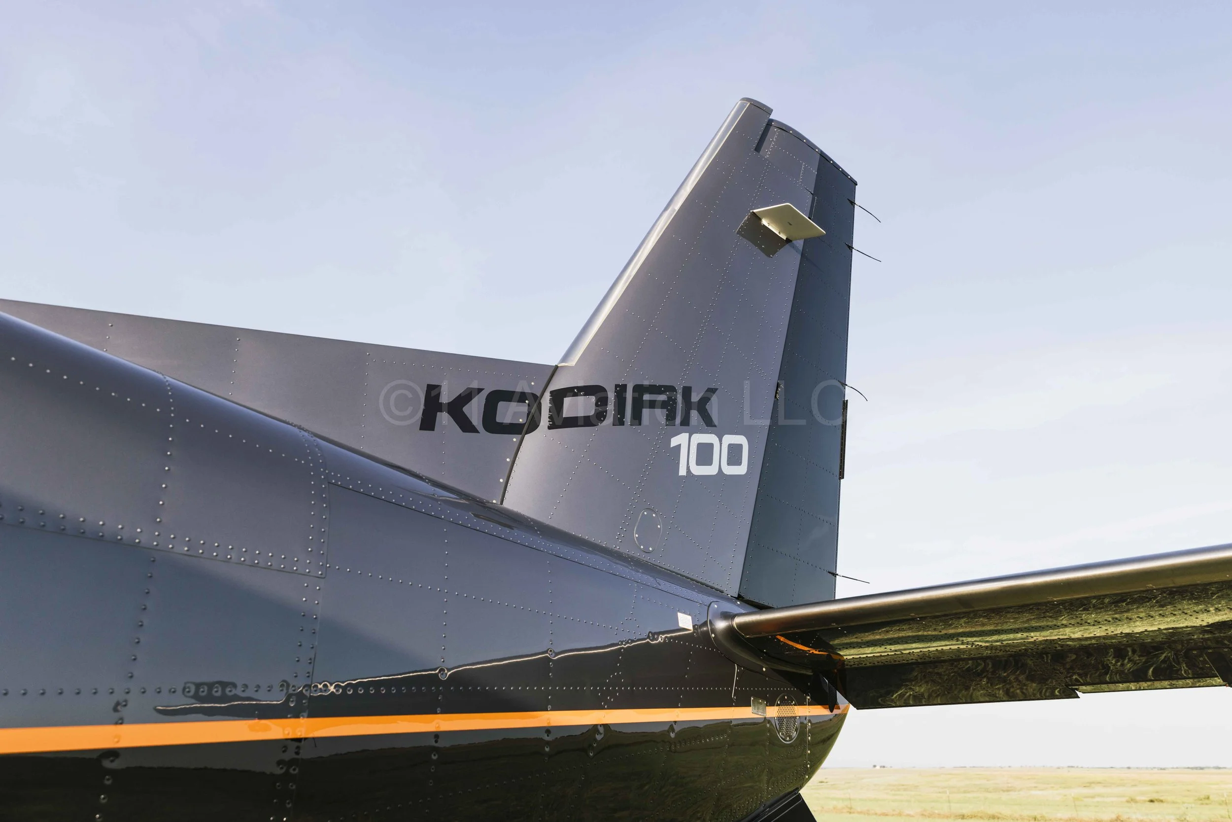 Kodiak 100 Series III tail view