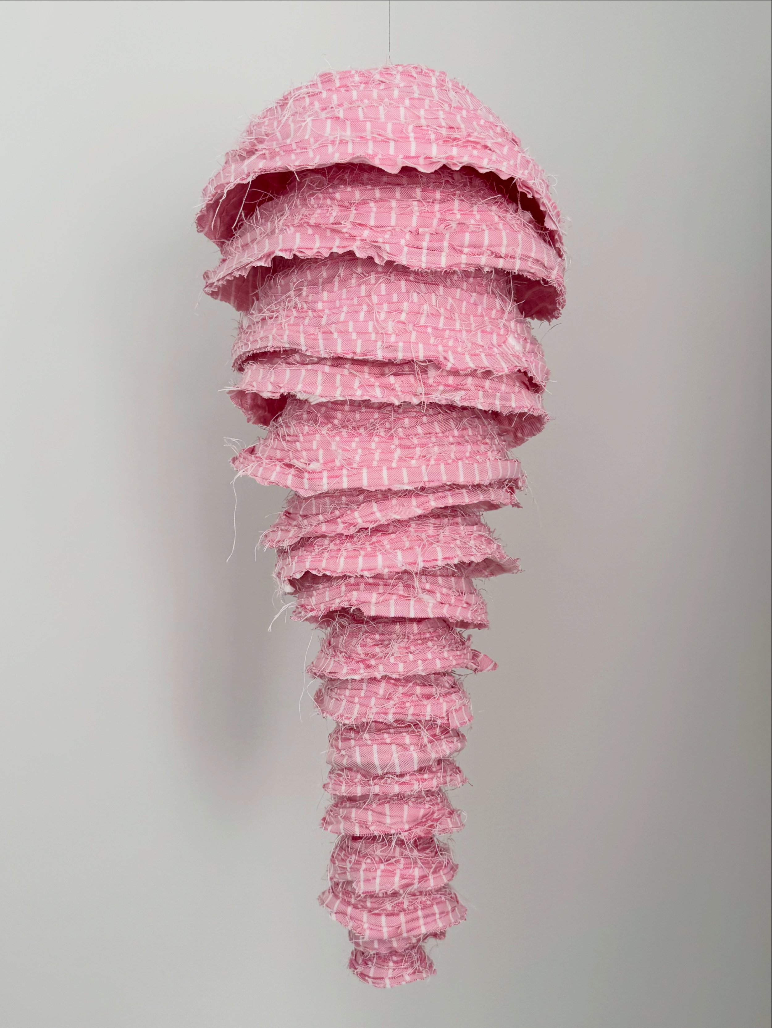 PINK COCOON _ 2026