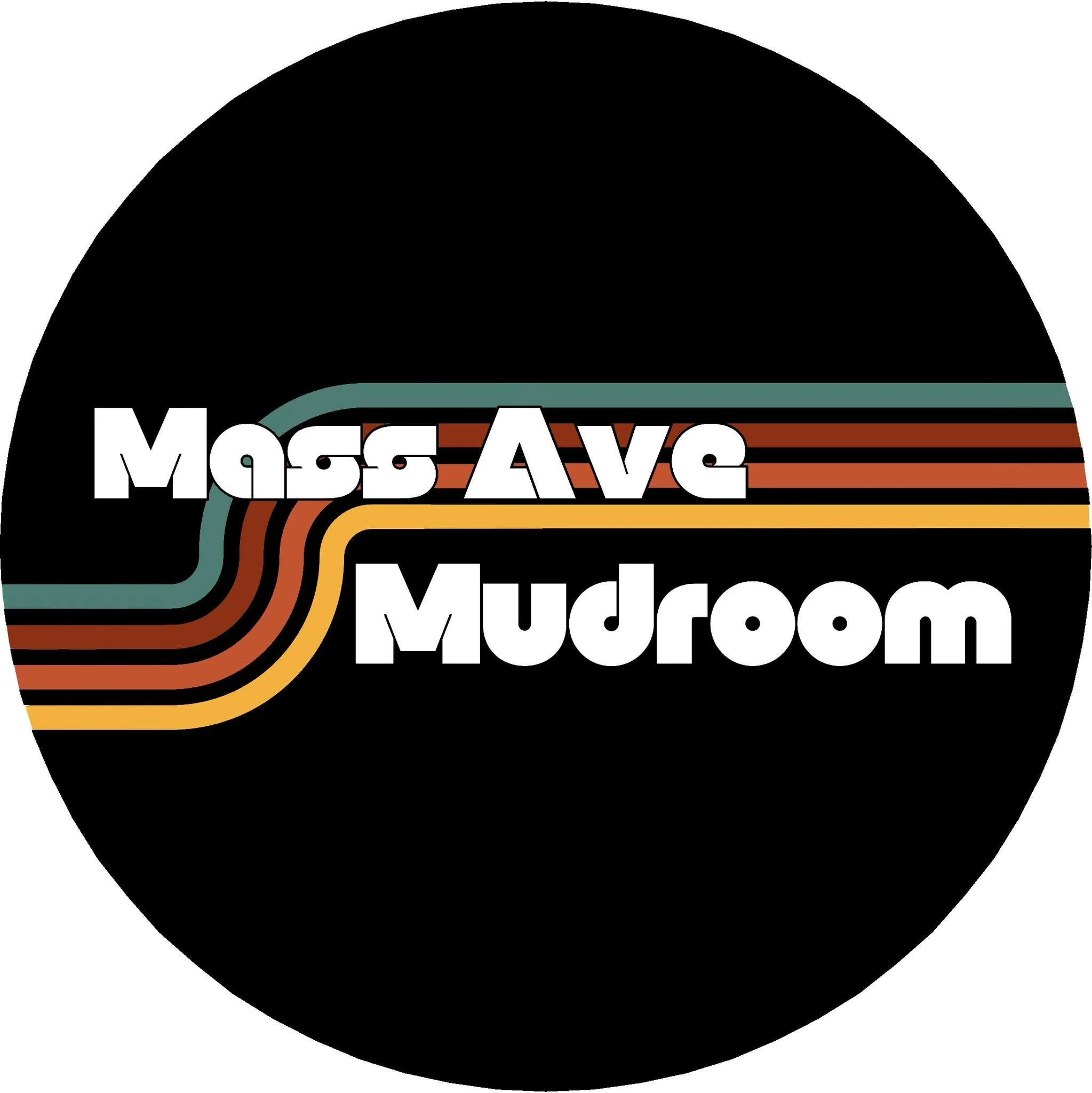 MassAveMudroom_2.jpg