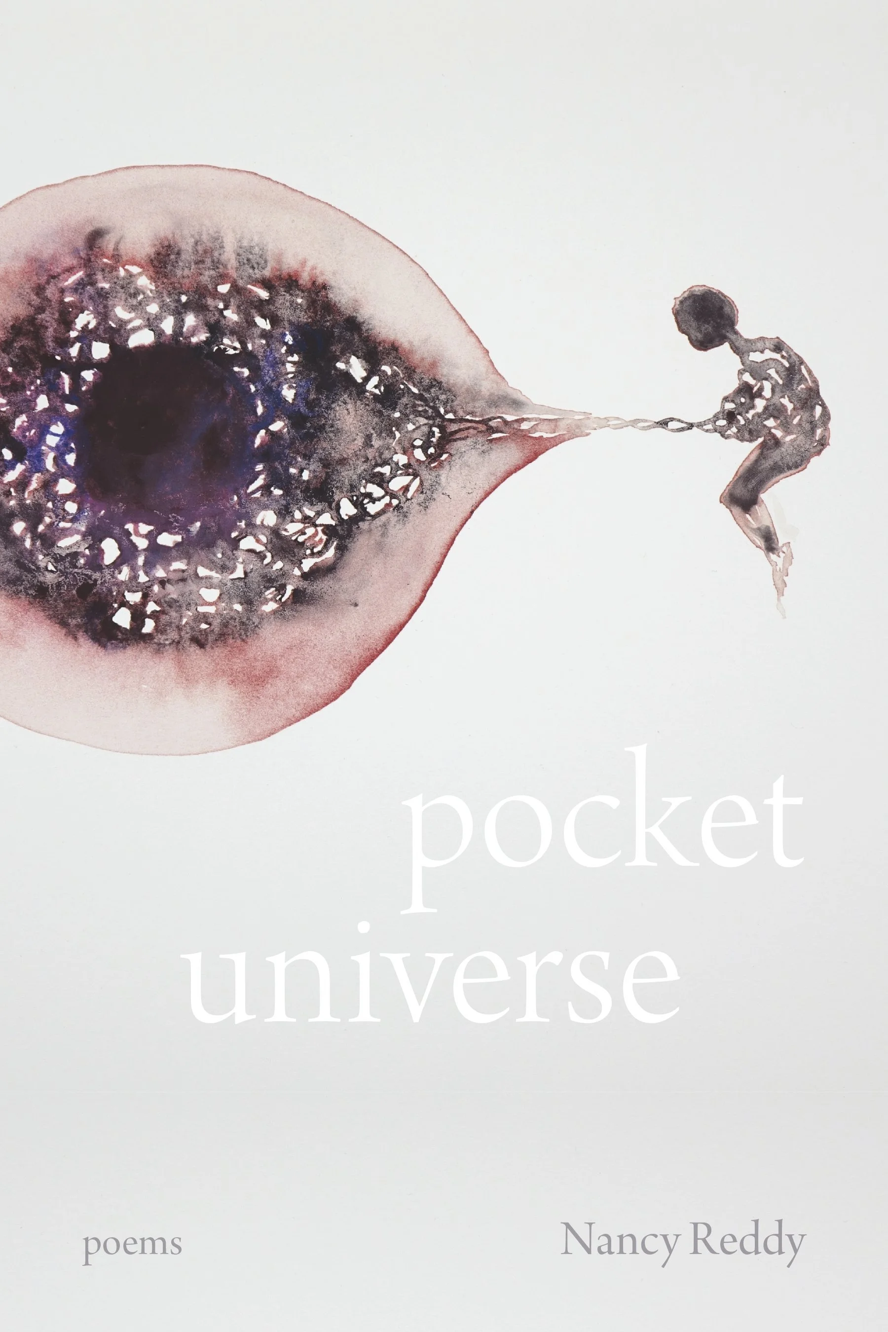 Pocket Universe by Nancy Reddy