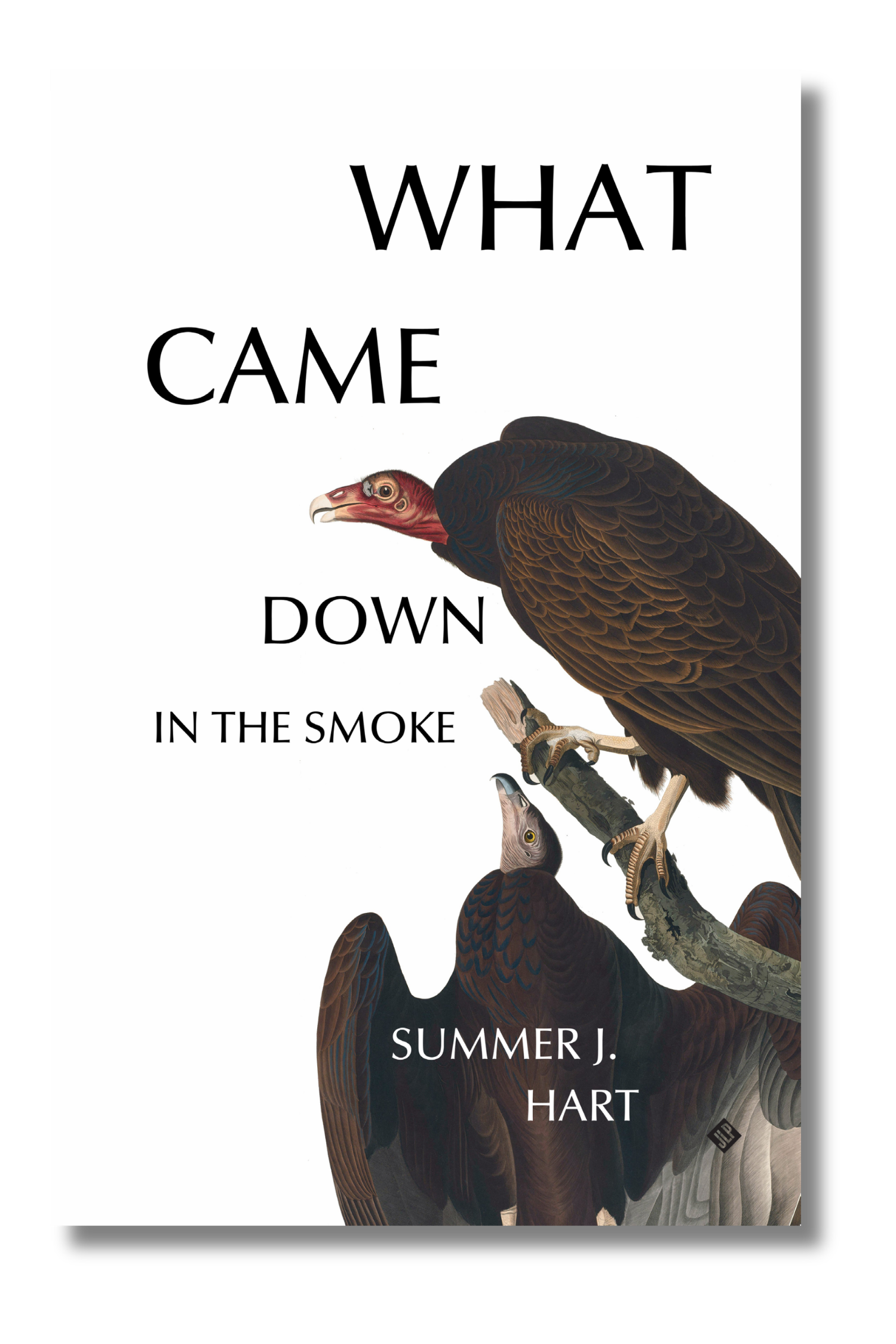 What Came Down in the Smoke by Summer J. Hart