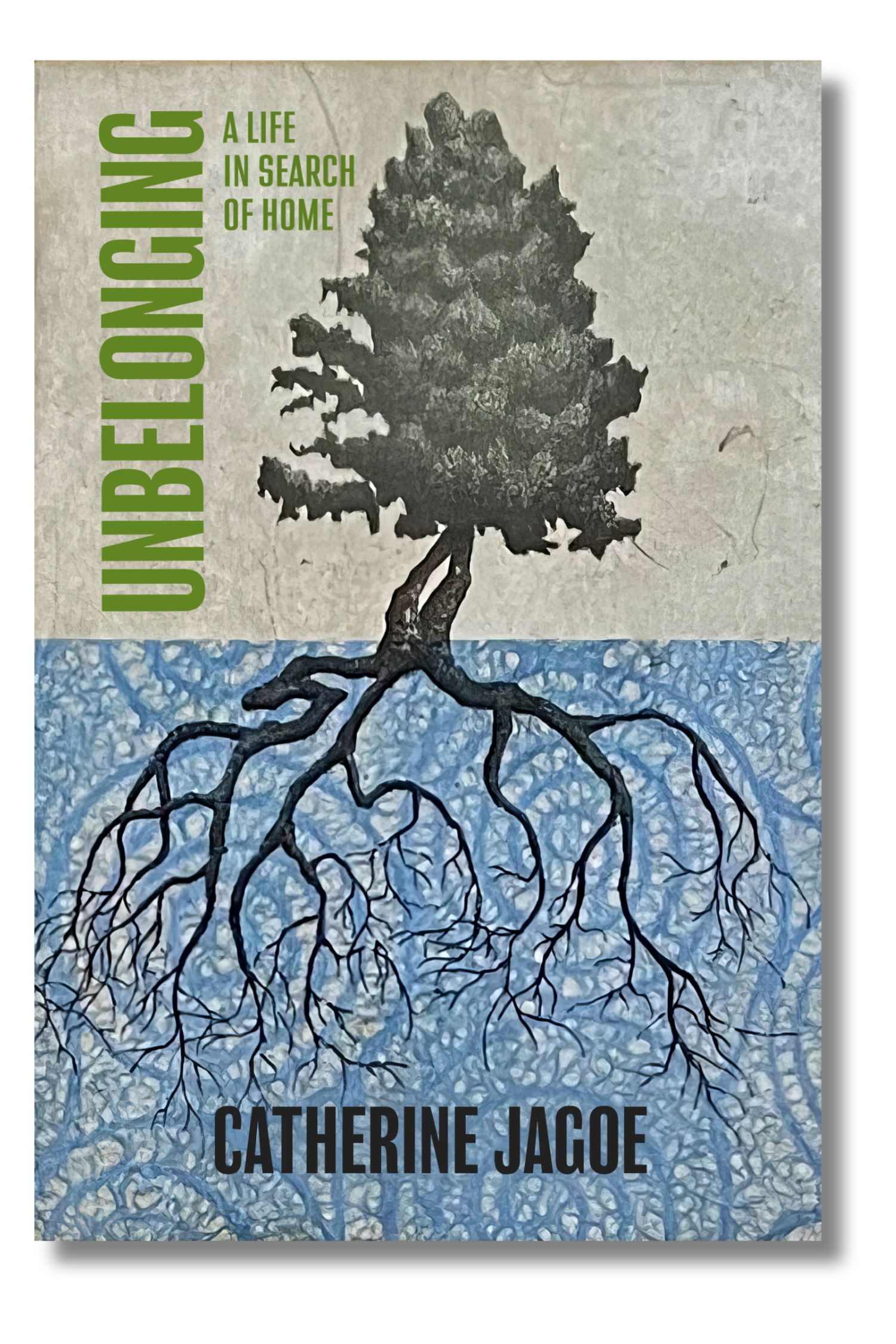 Unbelonging: A Life in Search of Home by Catherine Jagoe
