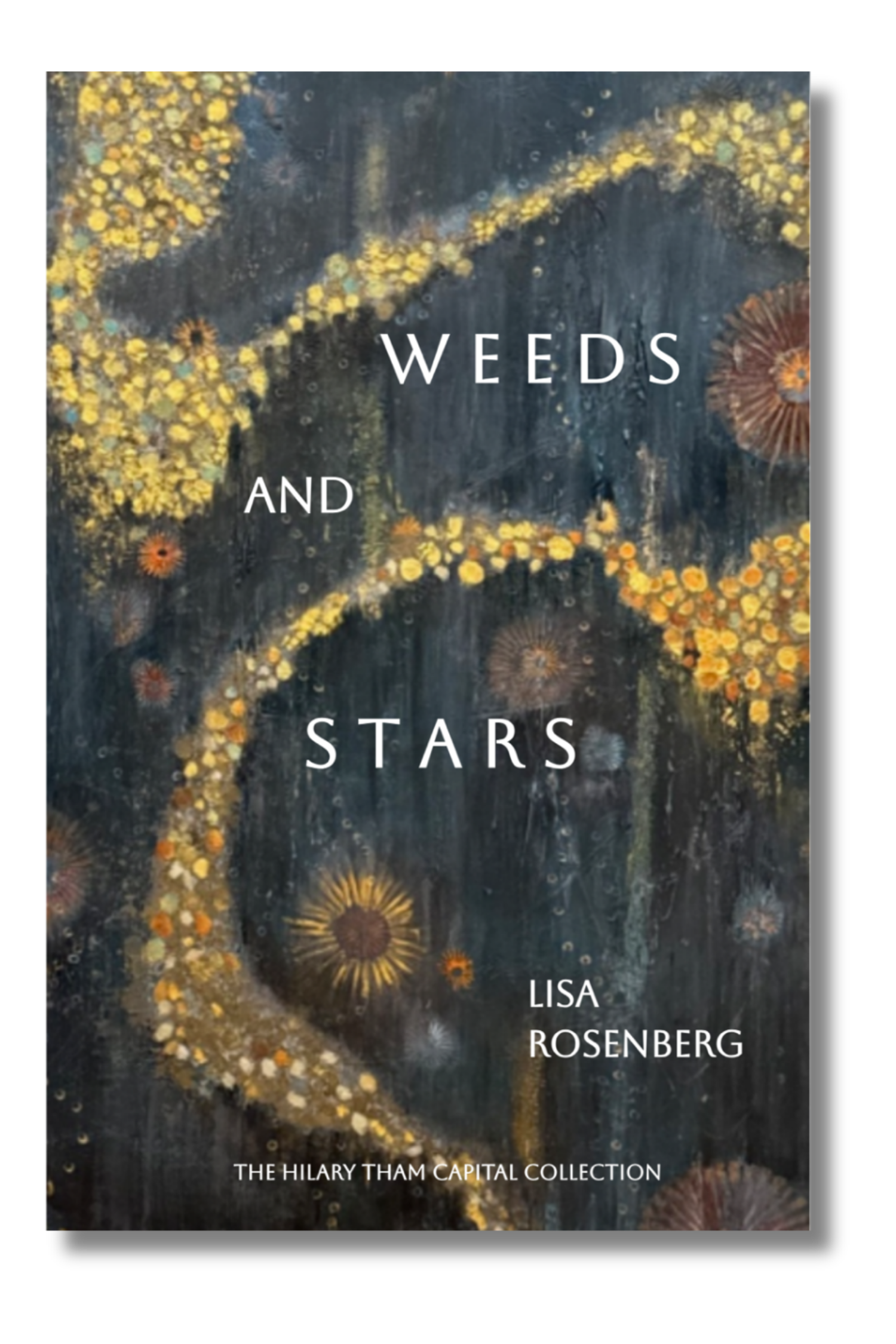 Weeds And Stars by Lisa Rosenberg
