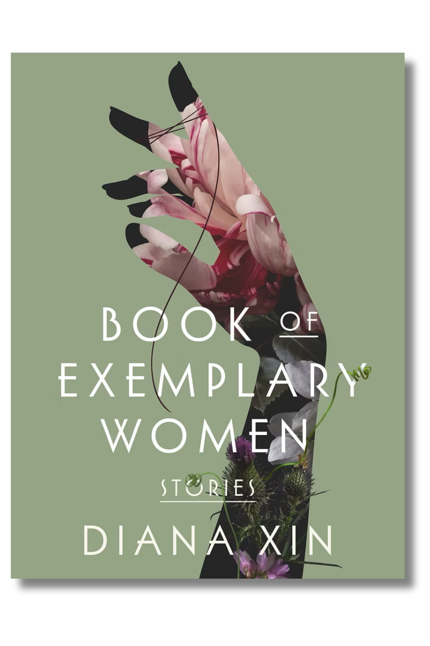 Book of Exemplary Women by Diana Xin