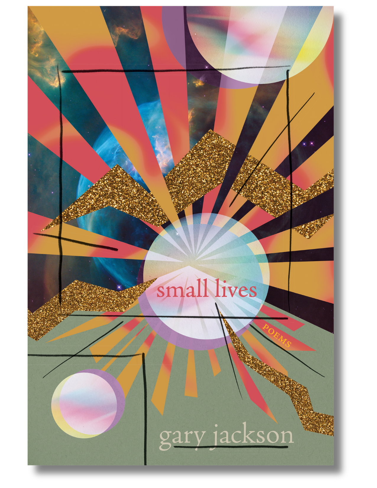 small lives by Gary Jackson