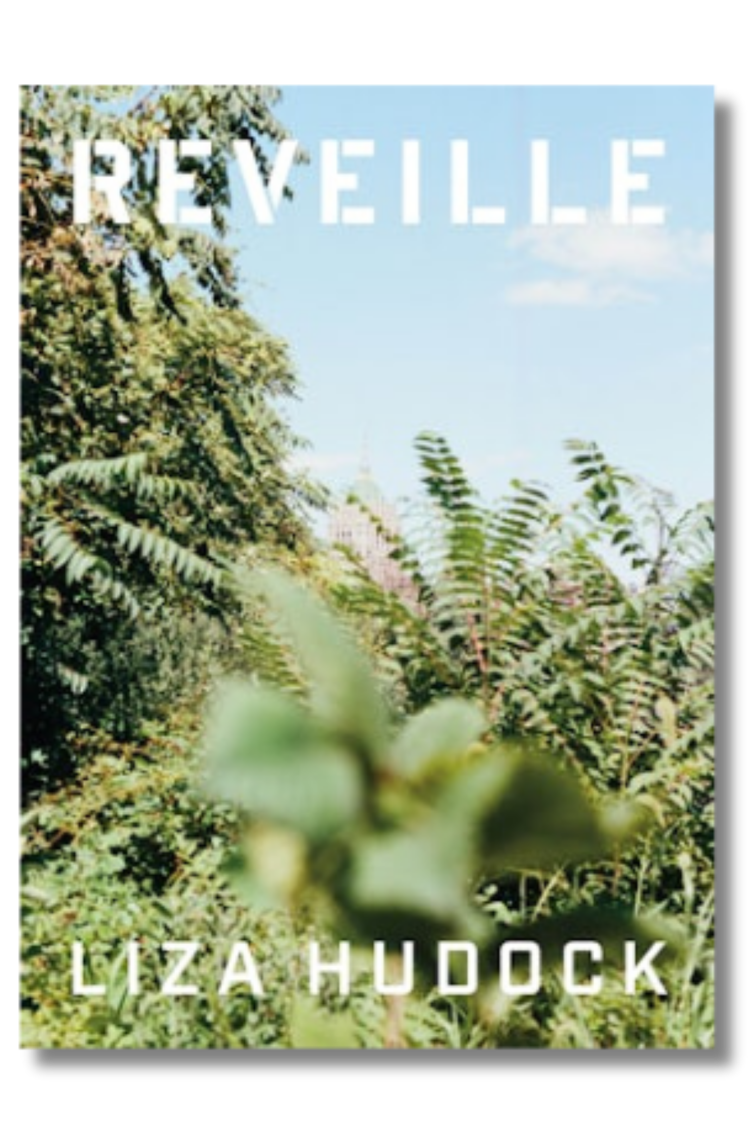 Reveille by Liza Hudock