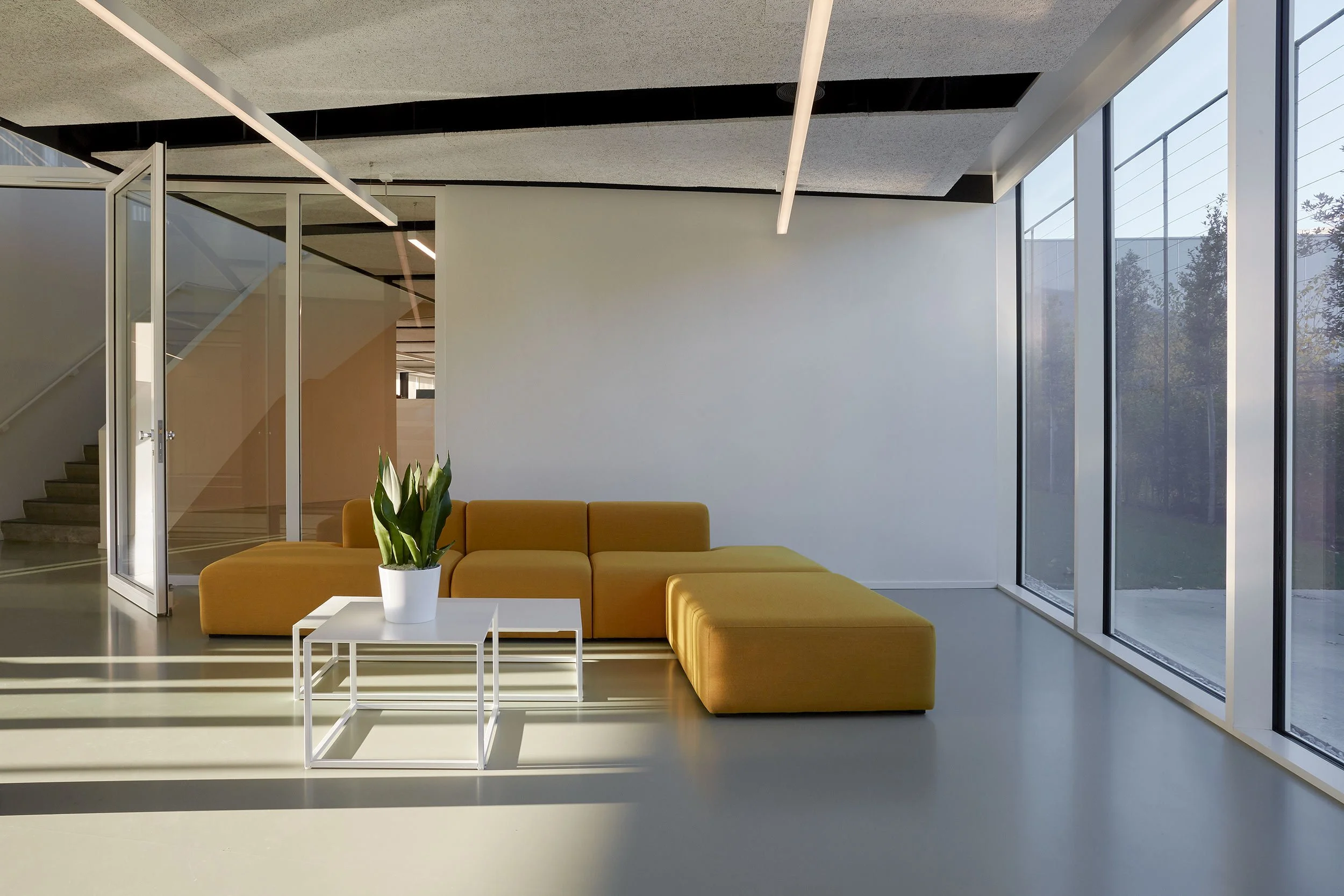 Modern office lounge at Pattyn headquarters featuring a minimalist interior with yellow modular sofa, natural light, and contemporary workspace design.
