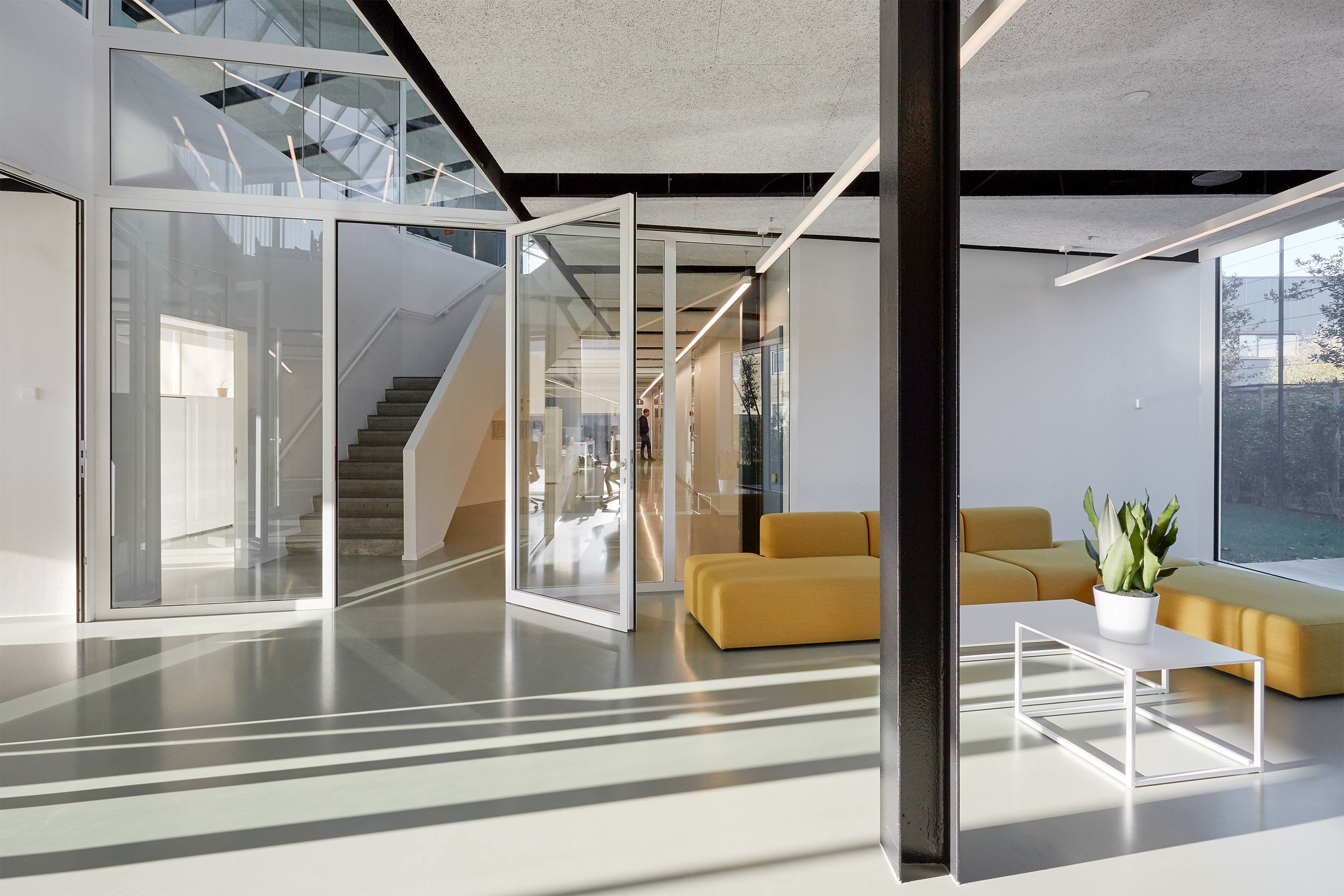 Modern office interior at Pattyn headquarters with glass partitions, open circulation, yellow modular seating, and natural daylight.