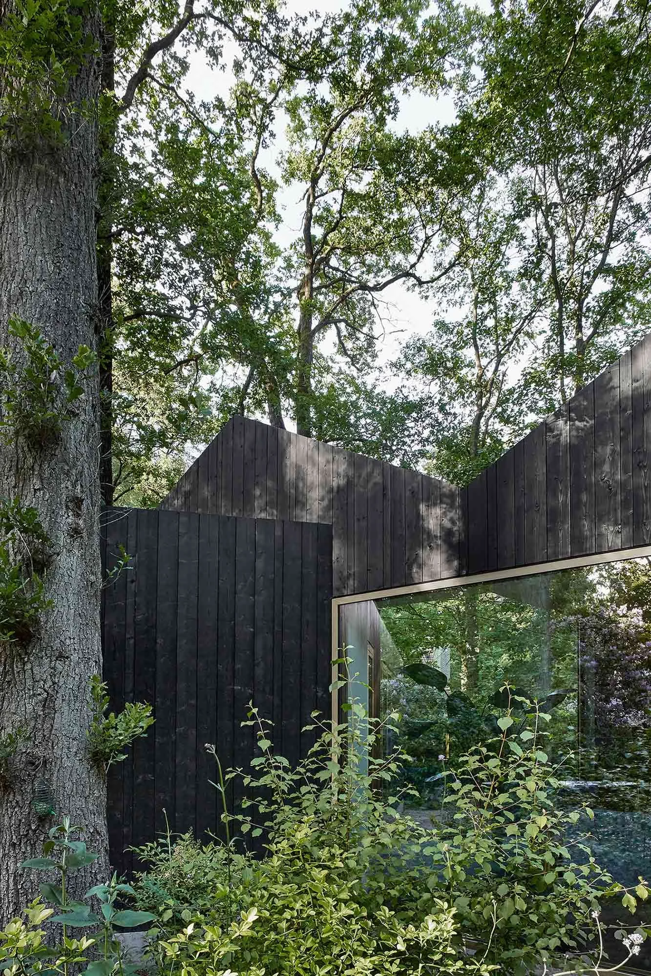 Architecture photoshoot of a transformation of a former chalet into a contemporary house with black wooden cladding surrounded by oak trees in a forest
