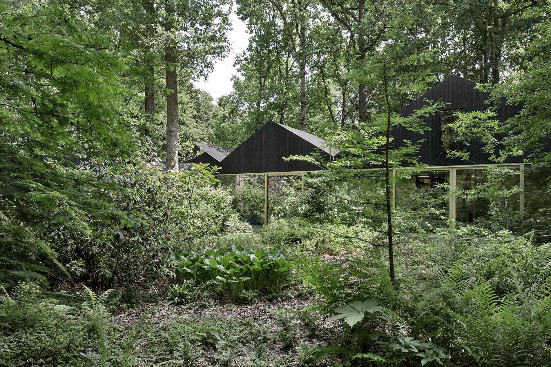 Transformation of a former chalet into a single family house. The volume of the extension was adapted to the positioning of the existing oak trees and a former lawn evolved into a lush, immersive garden.