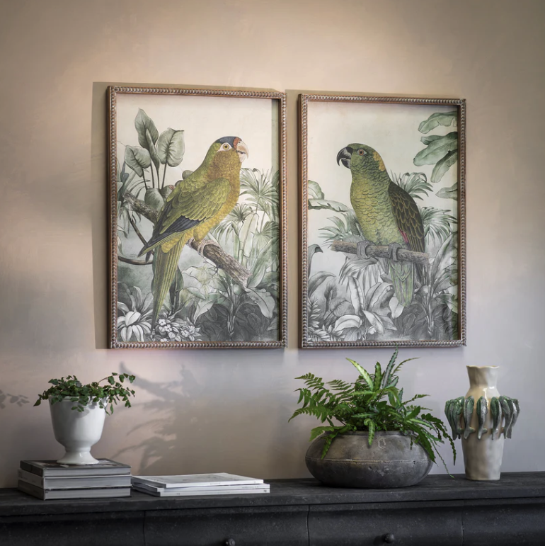 Moreton Parrots Prints