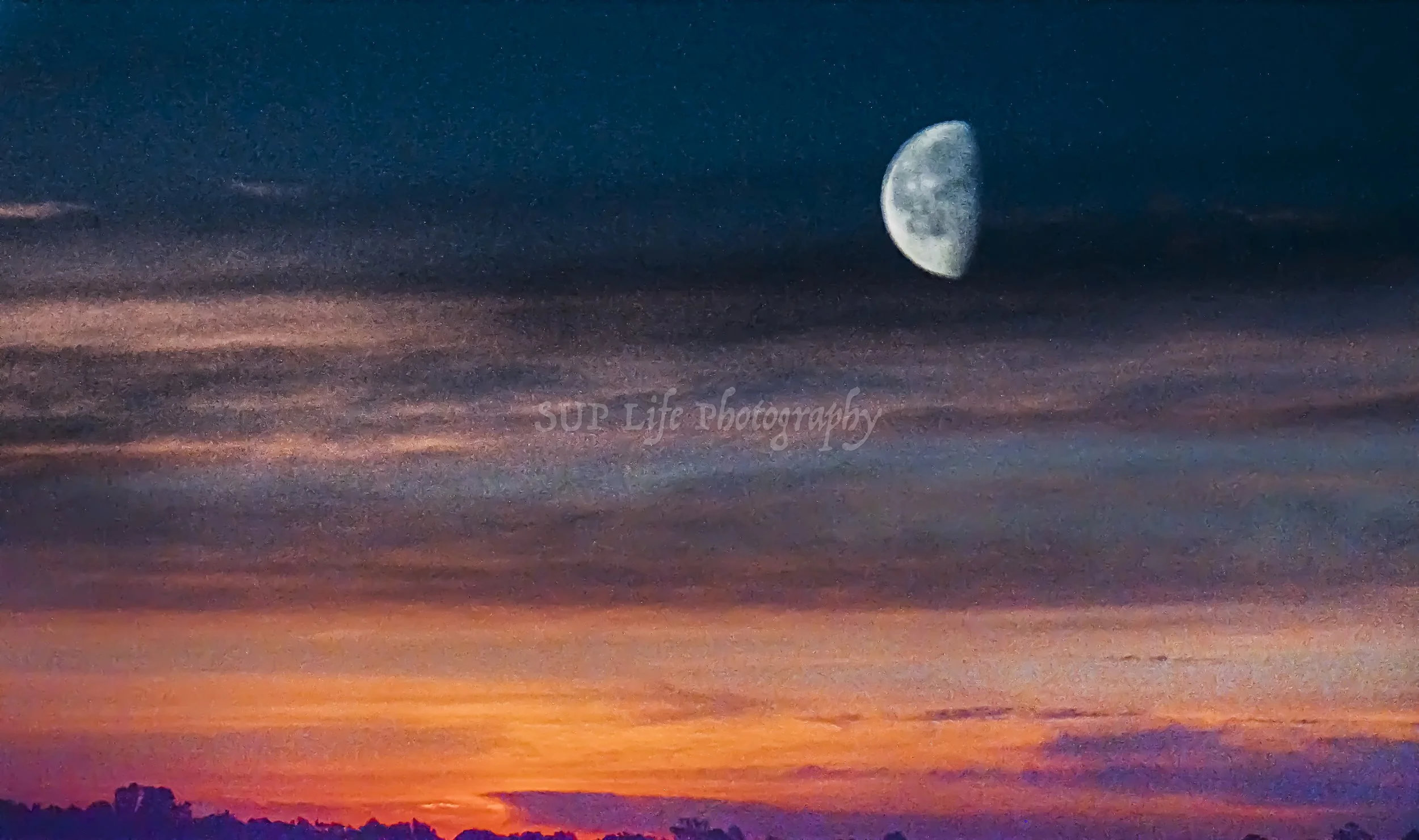 moon beach 12a.jpg