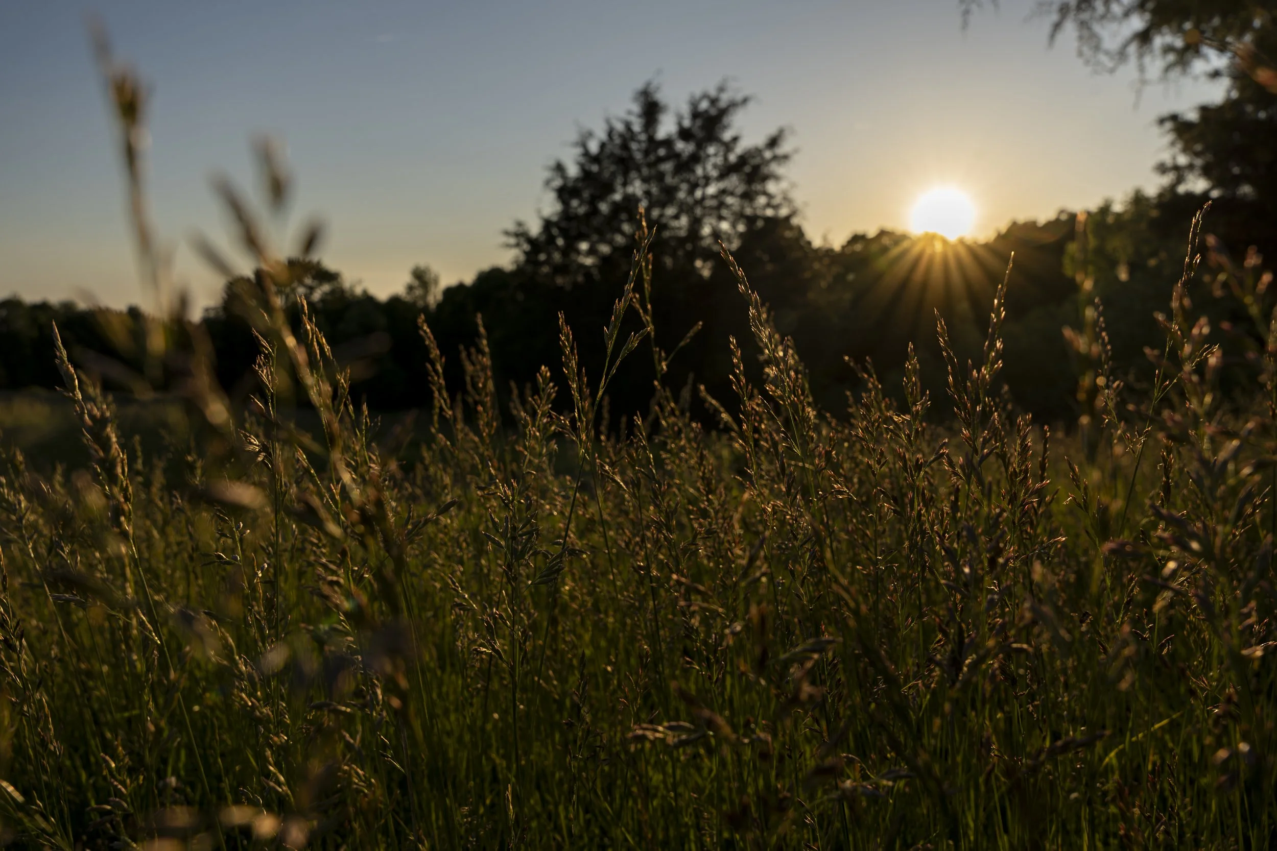 Rosy Creek Farmstead Goat Night 2025-2.jpg