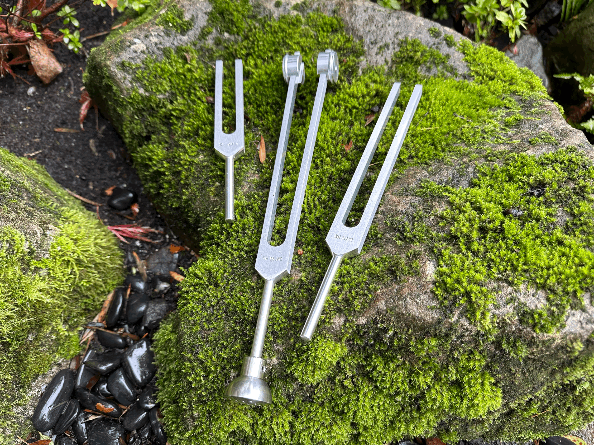 Biofield Tuning to Restore Harmony and Flow