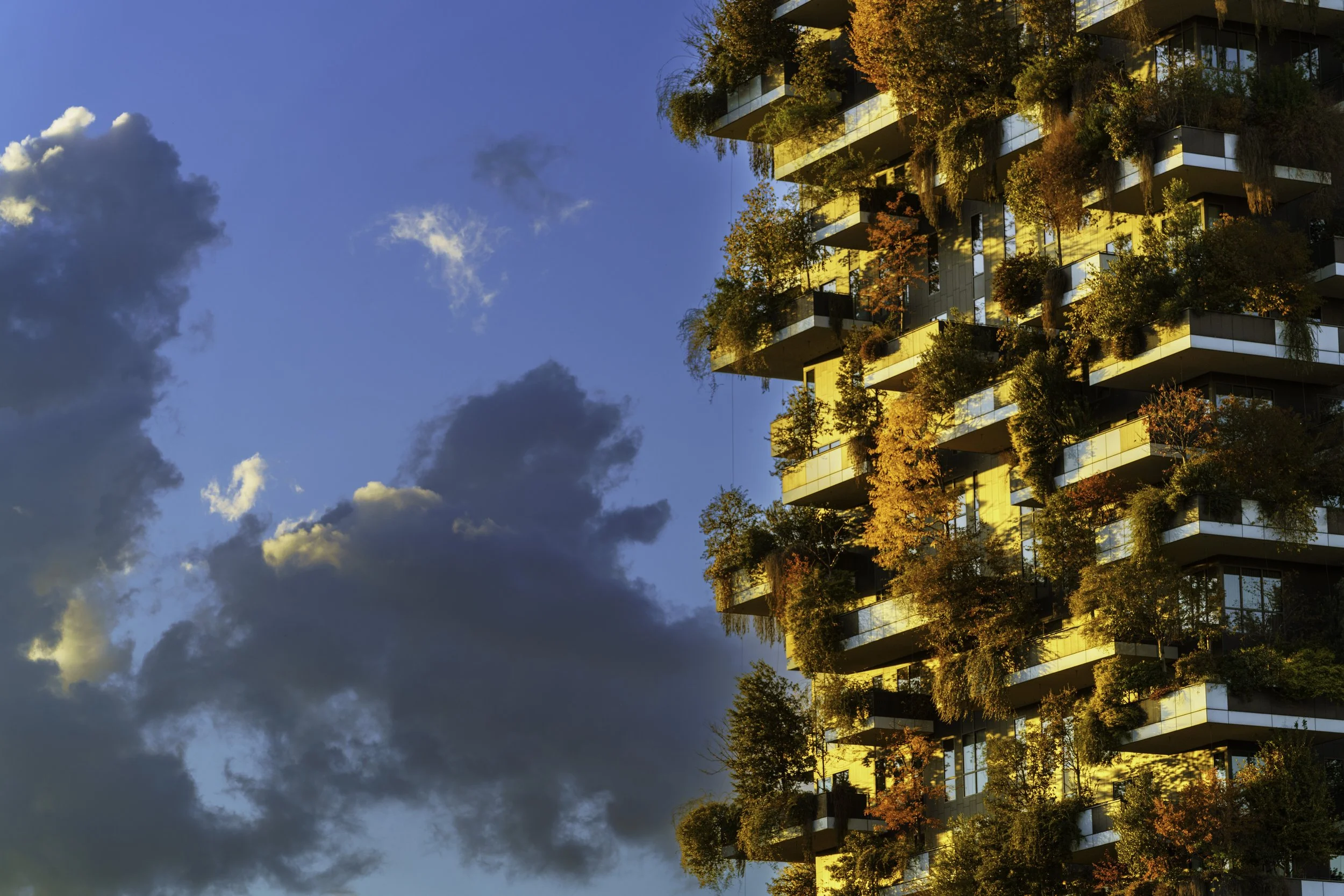 Net Zero vs Energy Efficient Buildings: What’s the Difference?