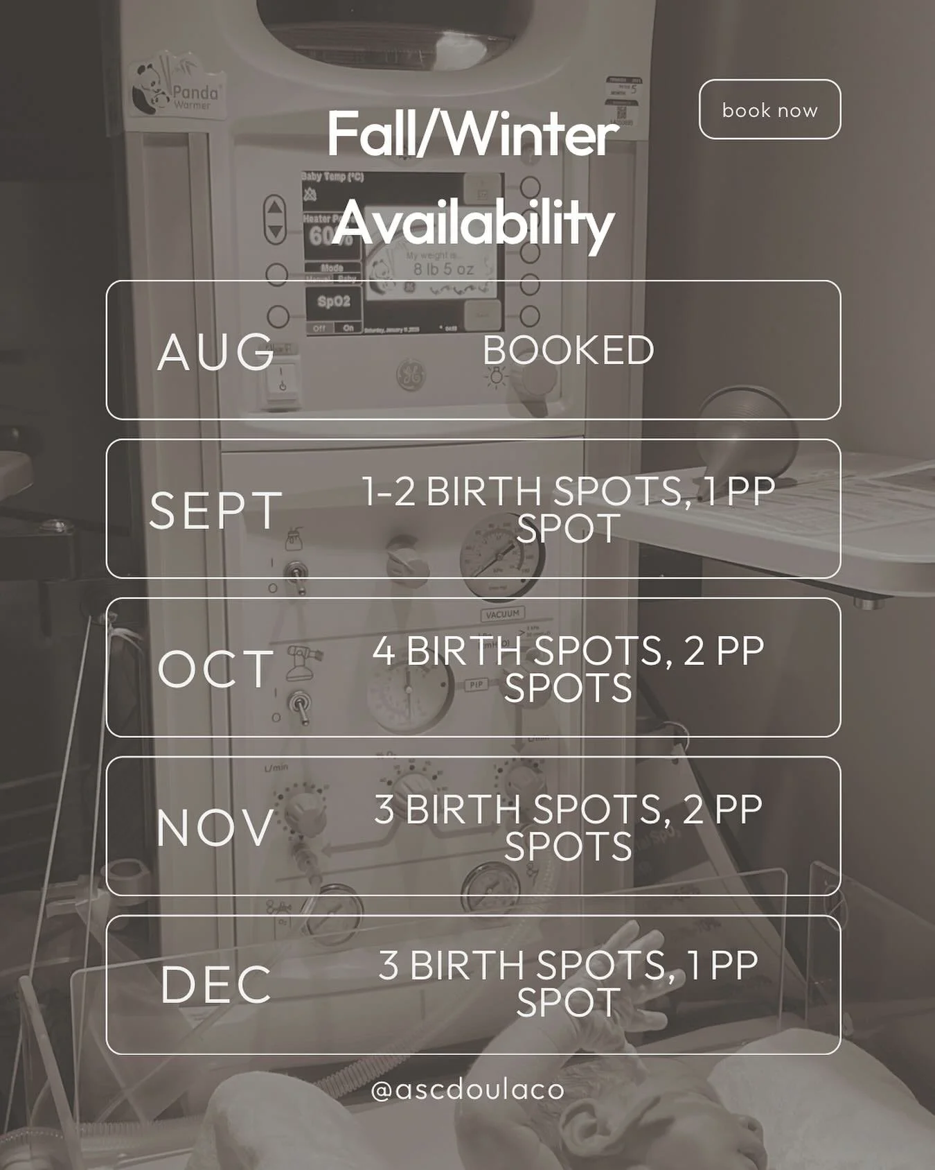 We are booking up quickly! Let this be your reminder to secure your doula earlier in your pregnancy rather than later🤝

We offer a free consultation to discuss our services, your birth desires, and to get to know each other a little better🤗 If you&